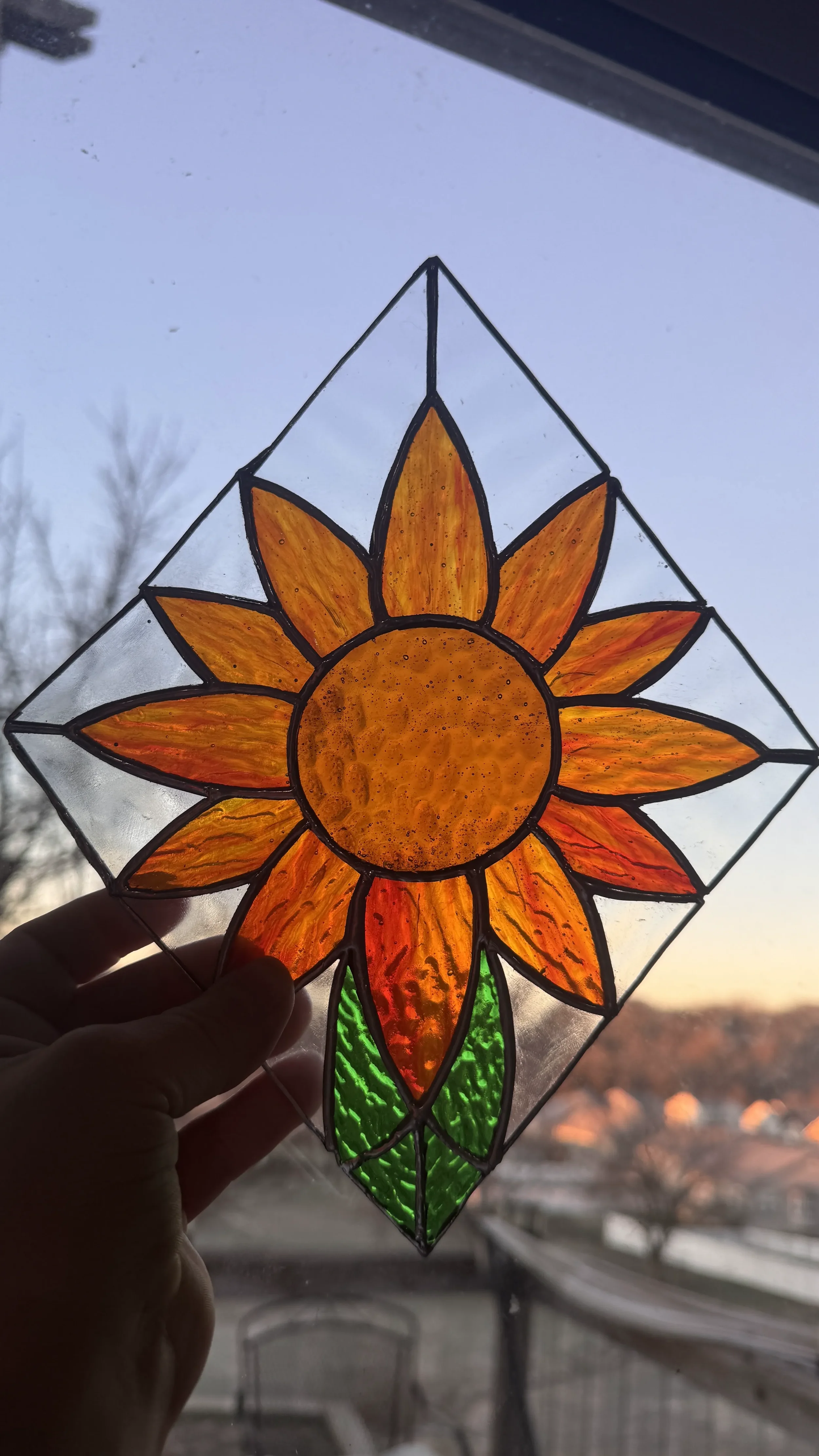 Orange sunflower
