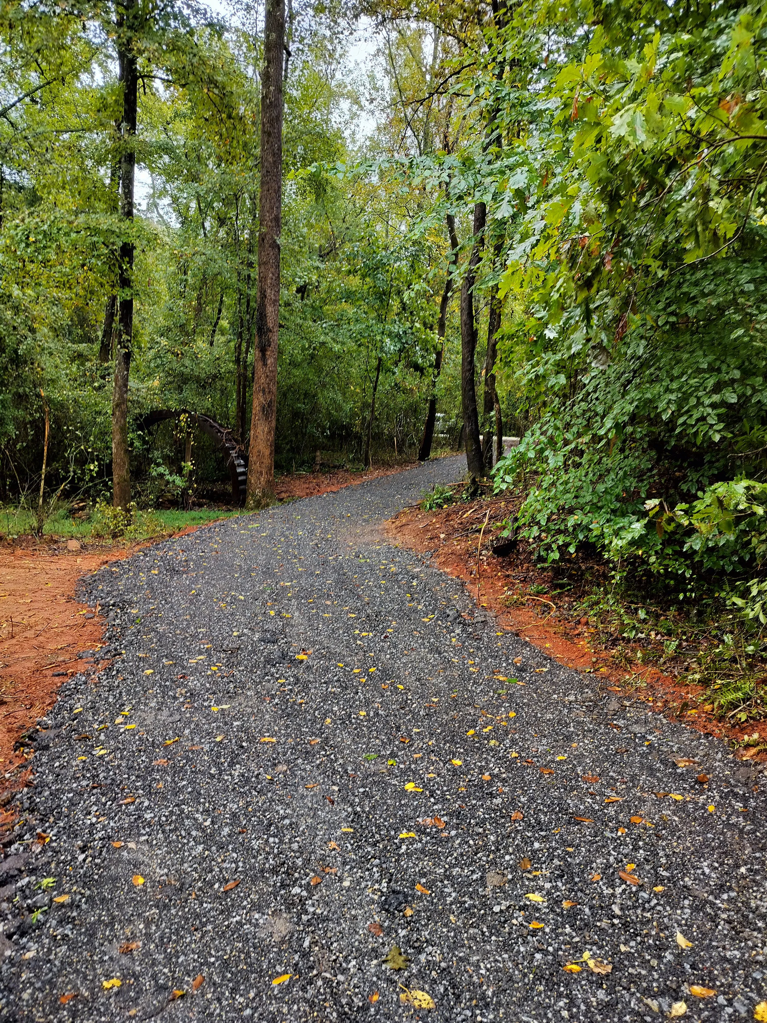 A gravel forest trail winding through trees with green leaves, some fallen yellow leaves scattered on the ground.