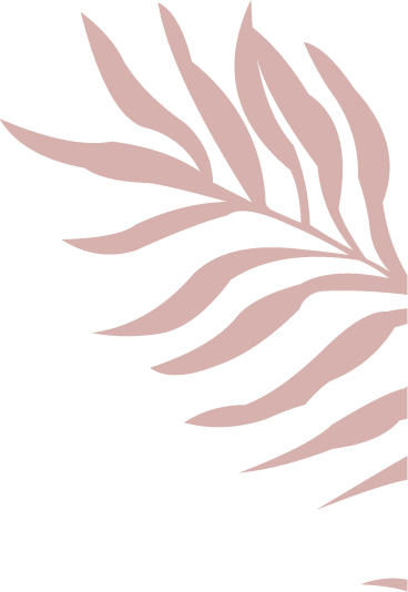Birth begins within leaf