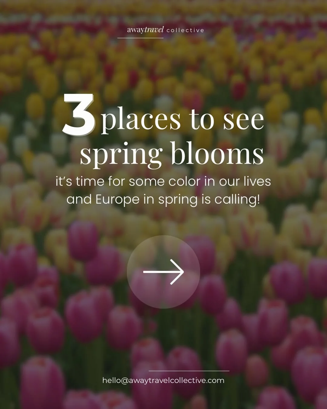 It&rsquo;s time to add a little color to your life. 🌷 

Europe knows how to do spring beautifully, with landscapes that burst into bloom and turn entire regions into living bouquets. Here are three destinations that will brighten both your day - and