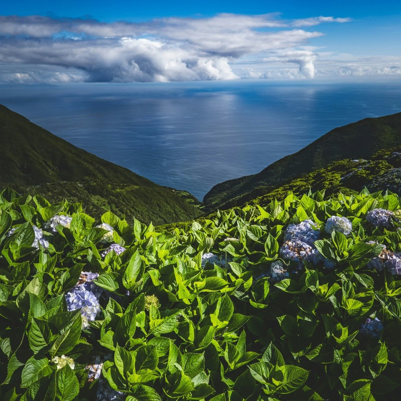 Wait&hellip; where are the Azores? 🌿

If you&rsquo;ve never heard of them - you&rsquo;re not alone. But trust me&hellip; you&rsquo;ll want to know.

The Azores are a group of Portuguese islands in the middle of the Atlantic Ocean - think Europe meet