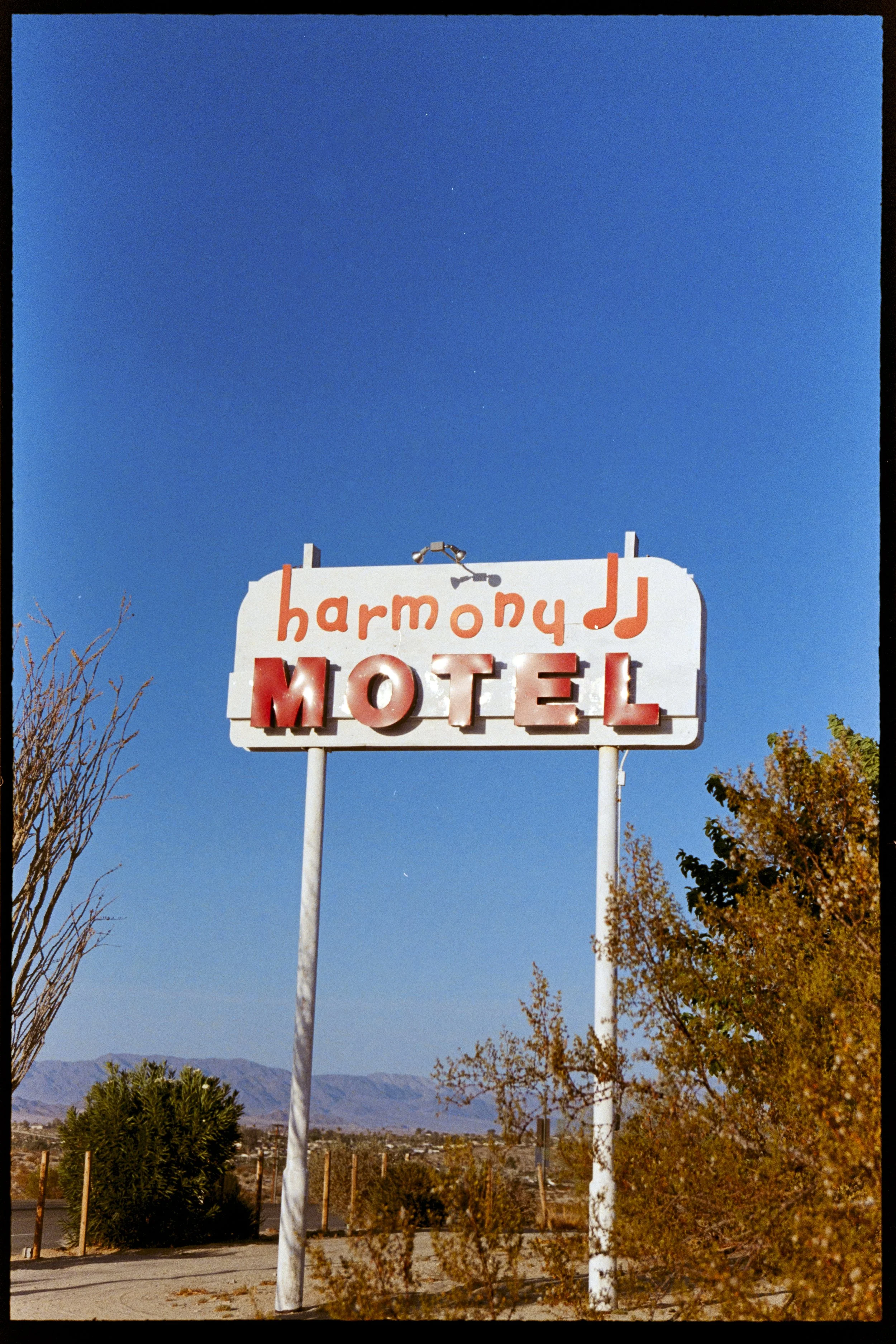 desert_tommy_film_03.jpg