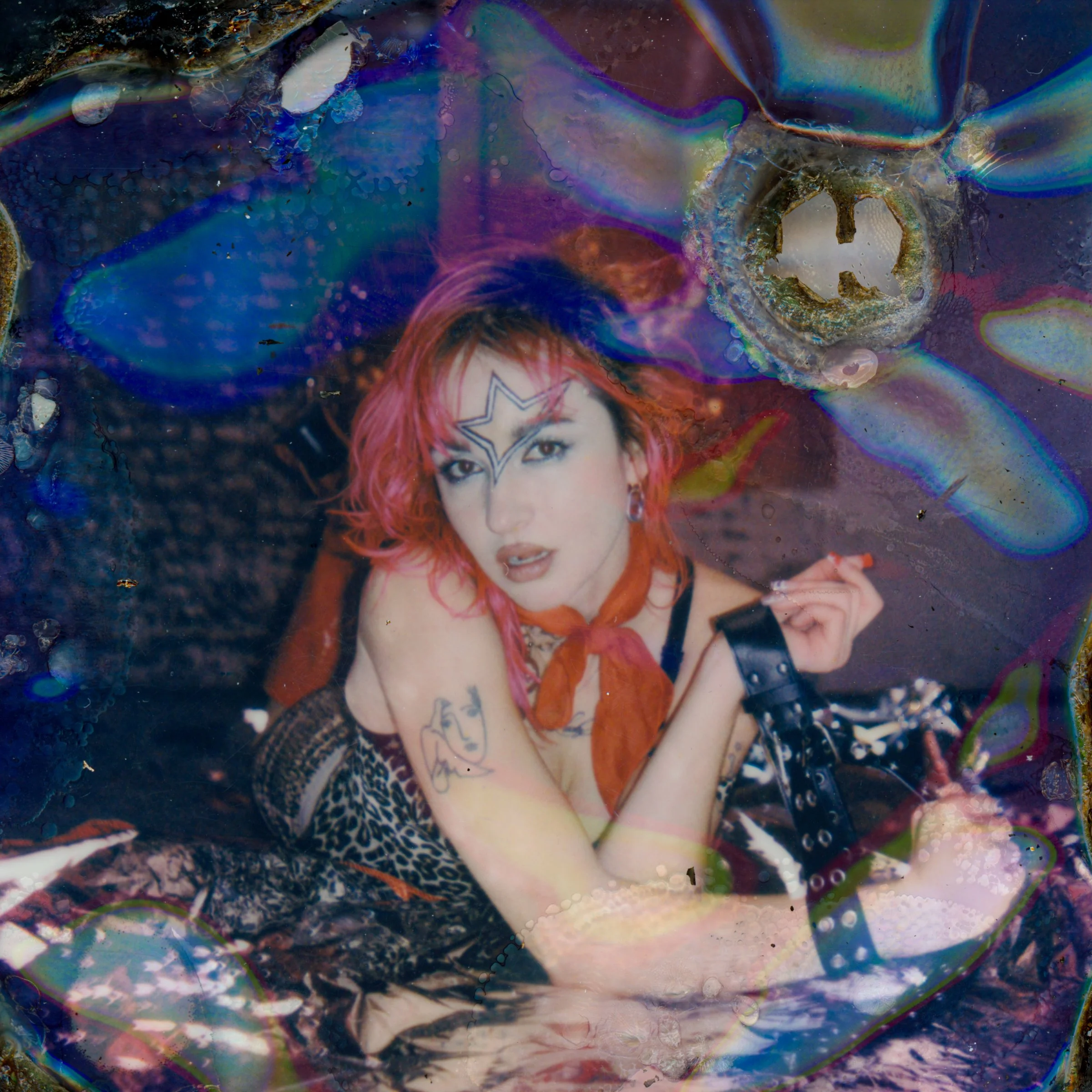maris_biof_cover-option4.jpg