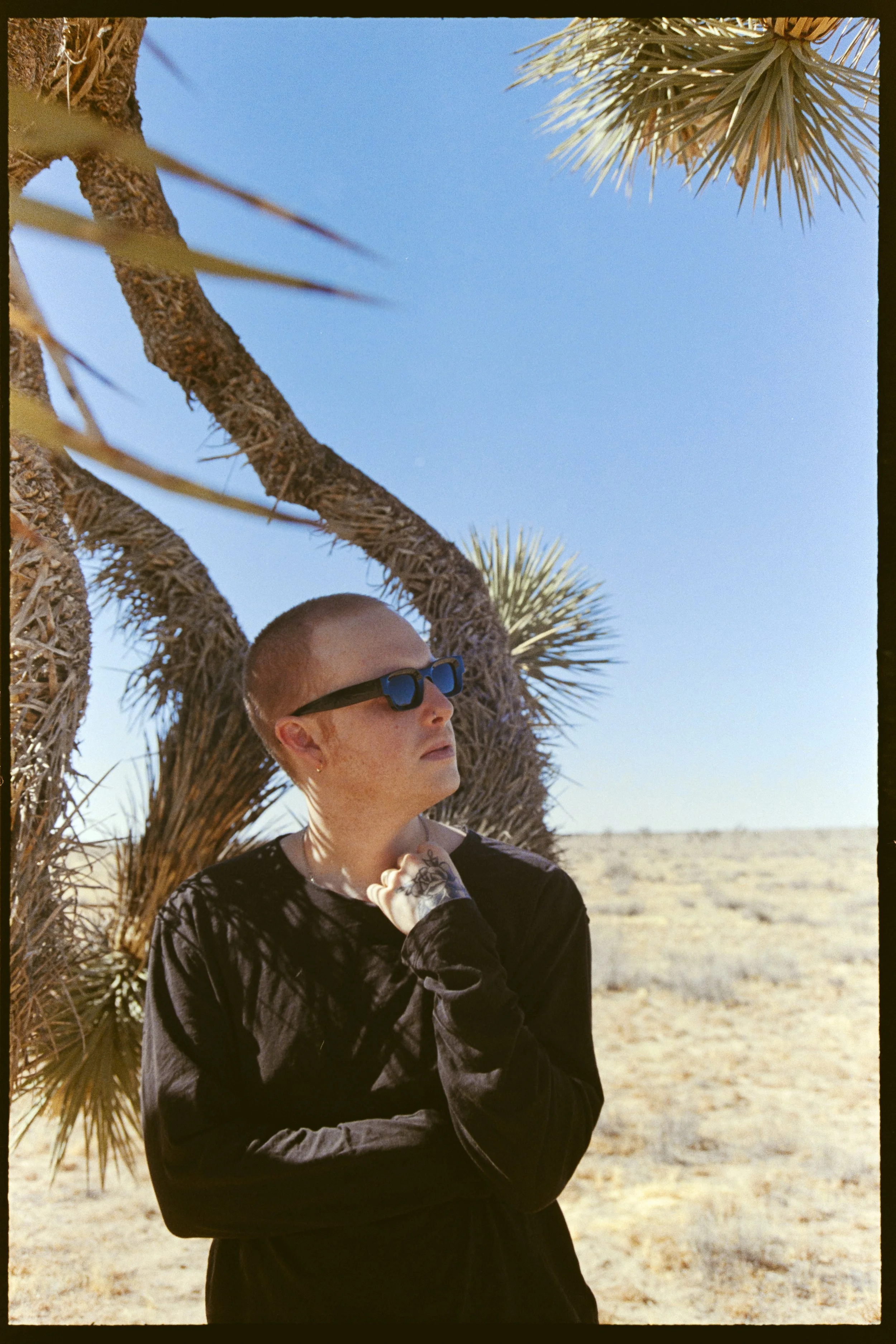 desert_tommy_film_11.jpg