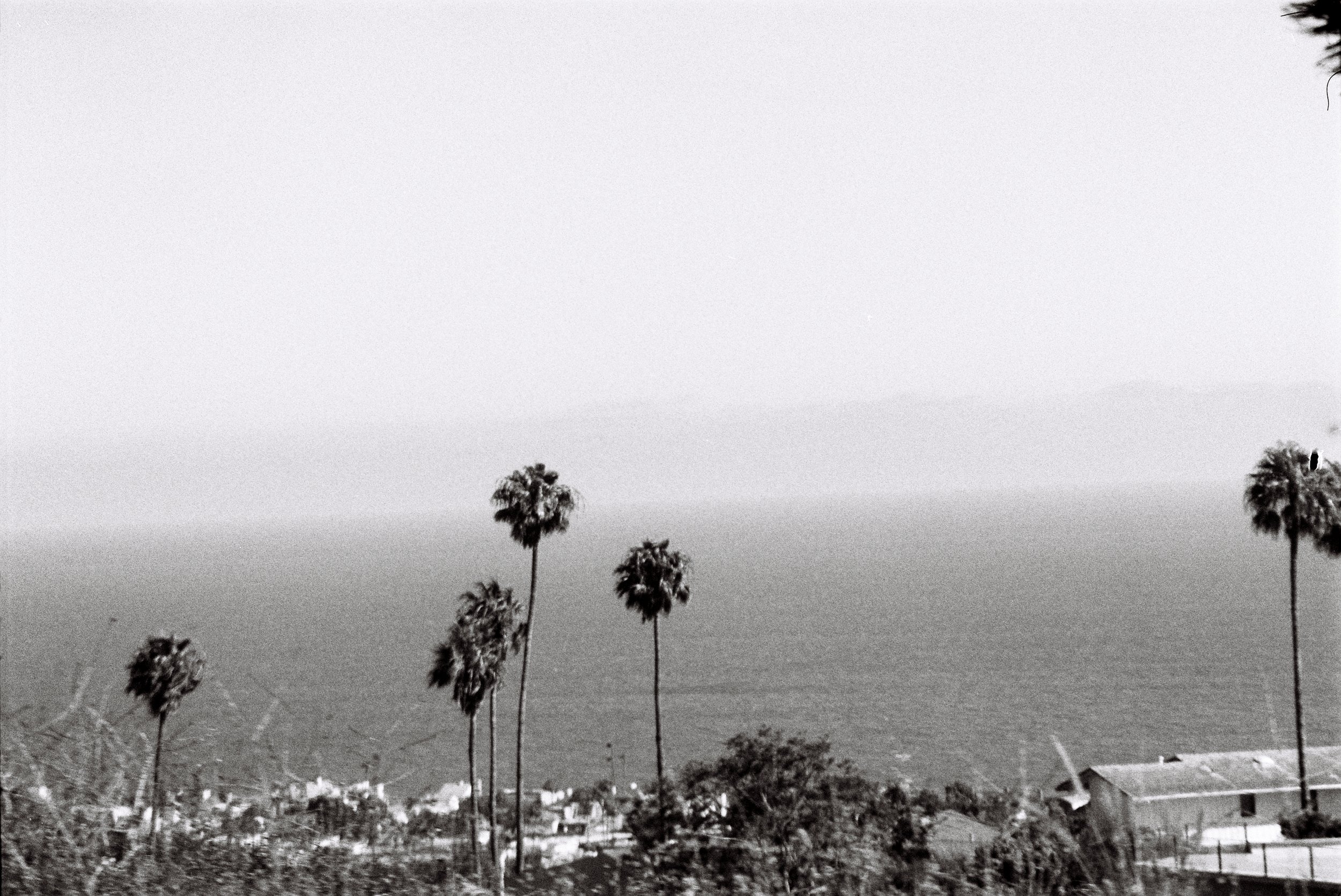 IanTaylour_JULY25-050.jpg