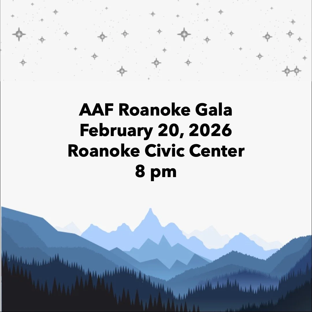 Event details for the AAF Roanoke Gala on February 20, 2026, at the Roanoke Civic Center at 8 pm, with a background illustration of mountain silhouettes and star graphics at the top.