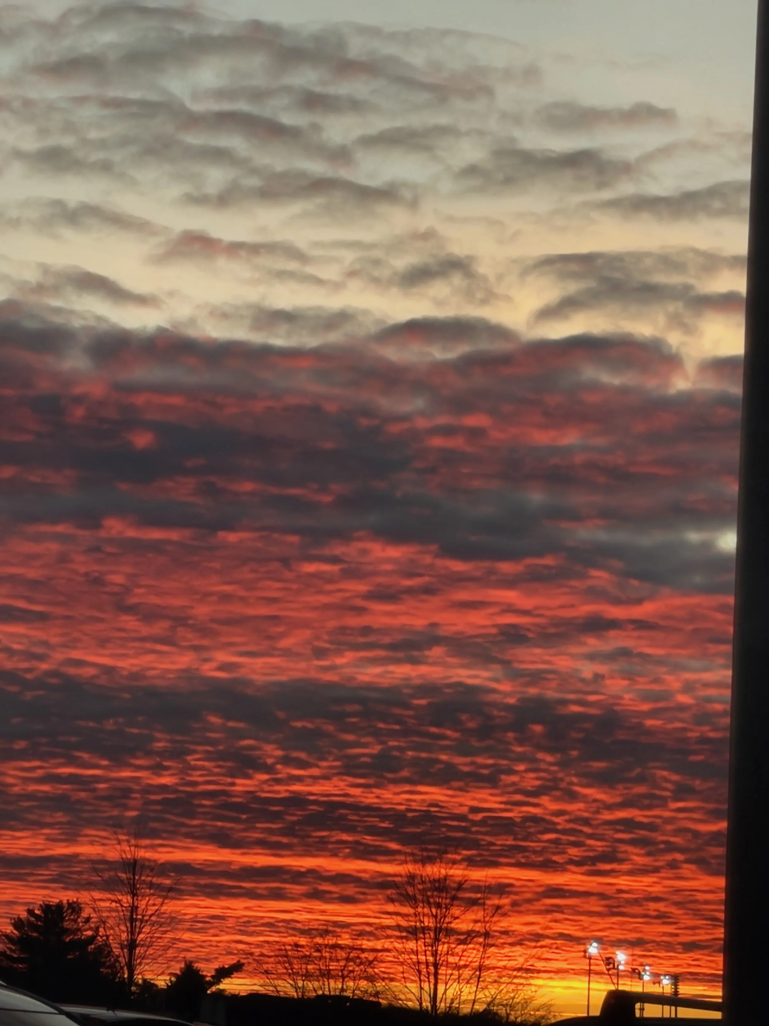 Colorful sunset sky with clouds, trees, and a streetlamp silhouette.