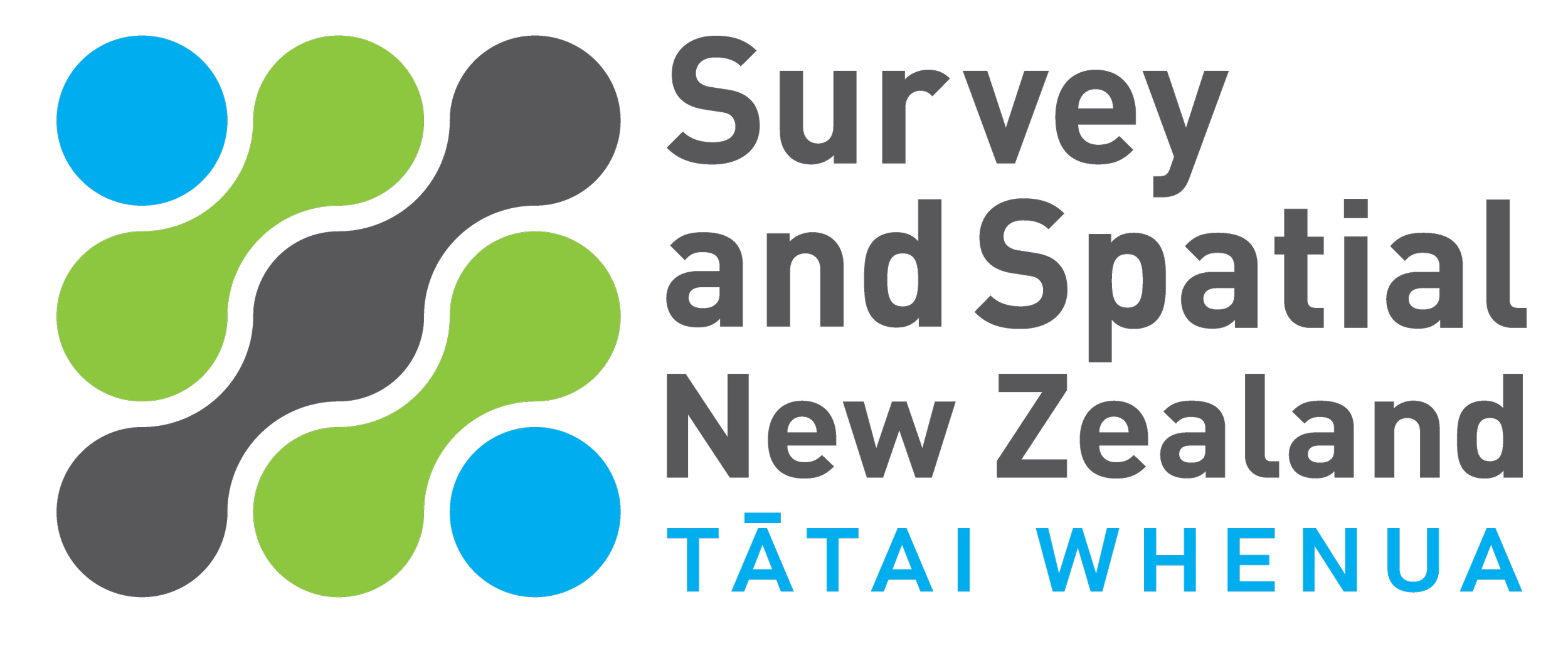 Survey and Spatial New Zealand logo