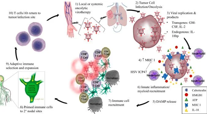 Fighting Fire With Fire: Oncolytic Virotherapy for Thoracic Malignancies