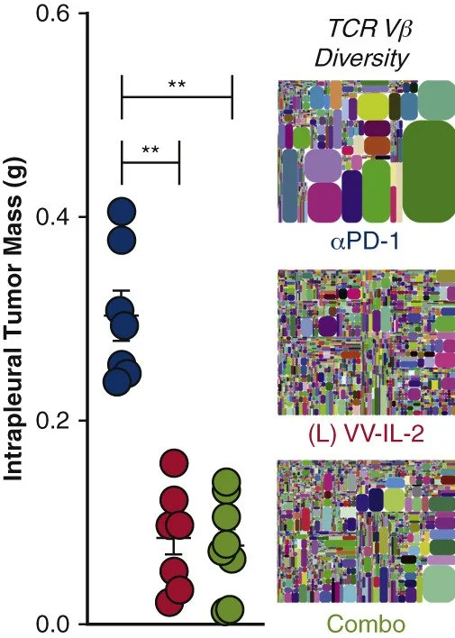 Intrapleural interleukin-2–expressing oncolytic virotherapy enhances acute antitumor effects and T-cell receptor diversity in malignant pleural disease