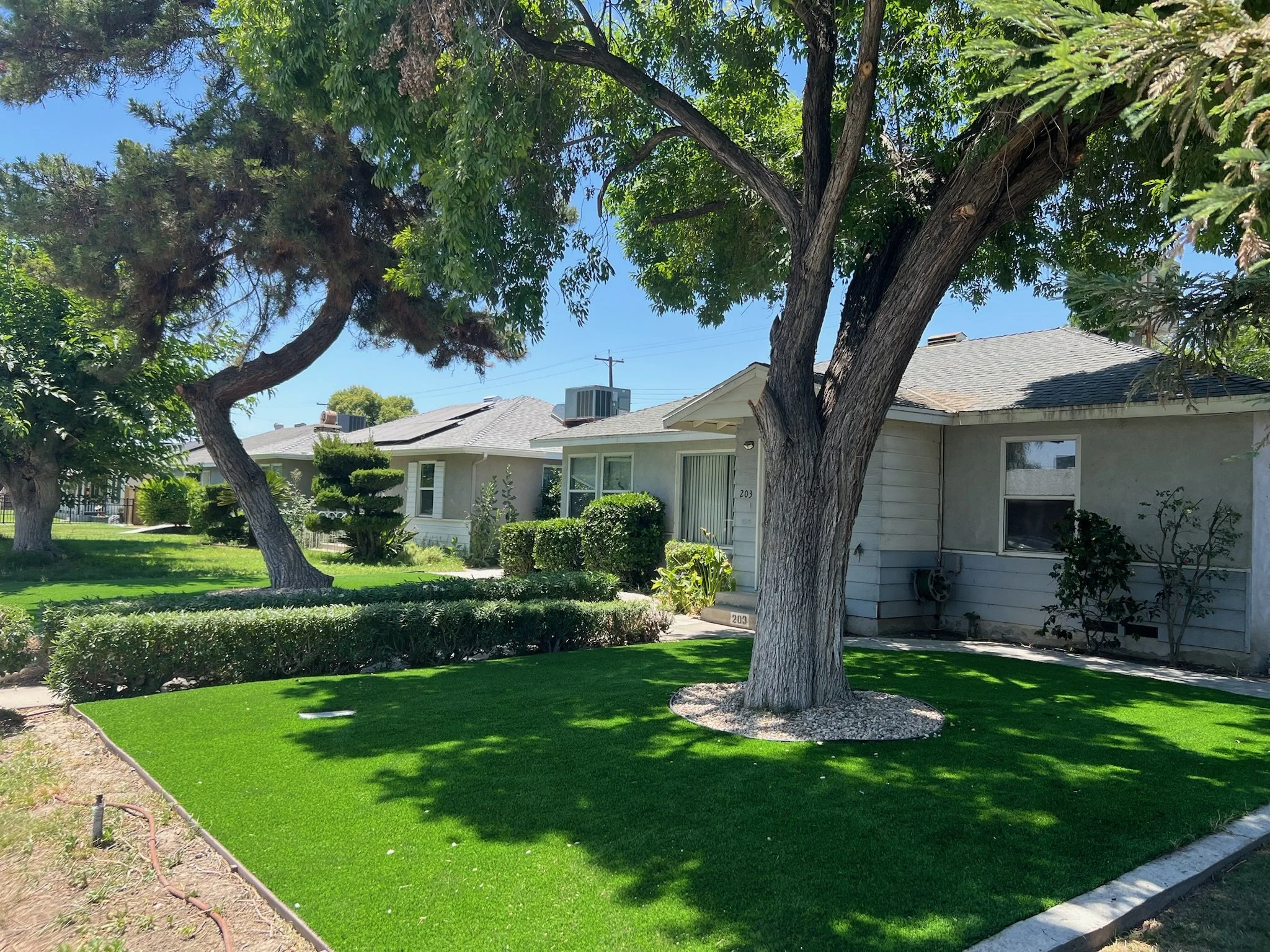 Front yard with large trees, well-maintained lawn, shrubs, and single-story house with light-colored exterior and windows