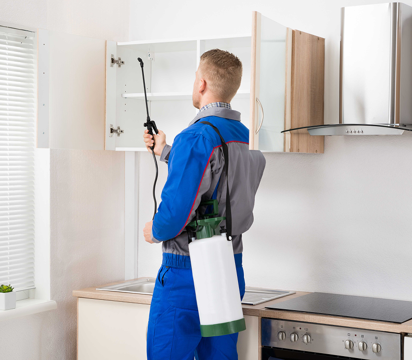 Pest control technician servicing residential property