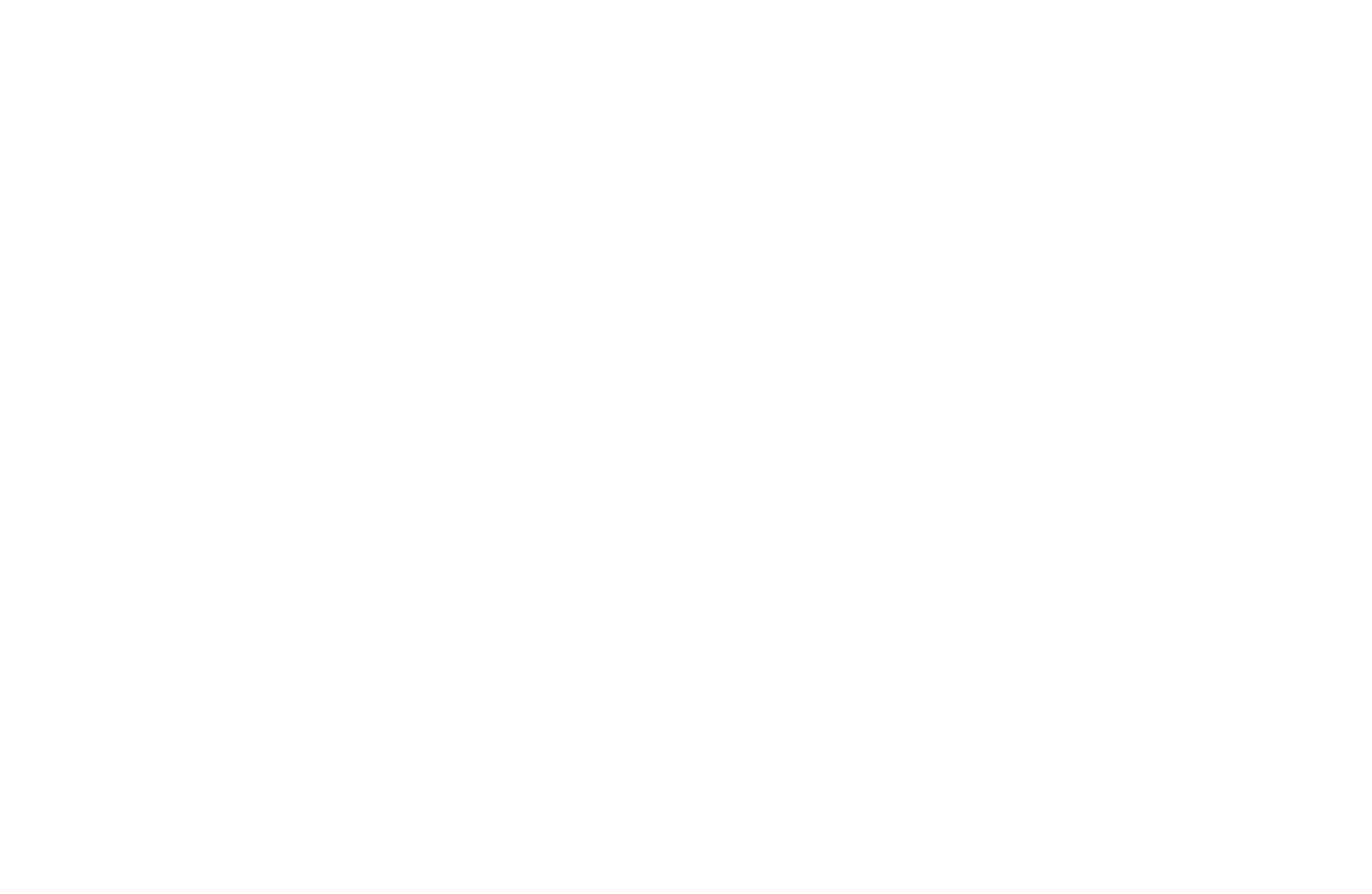 PERPETUAL  MOTION