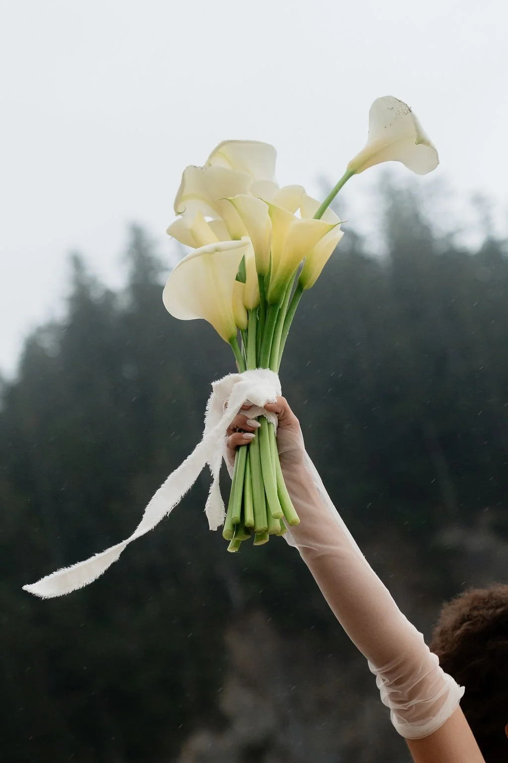 A hand holding a bouquet of white calla lilies against a blurred outdoor background.