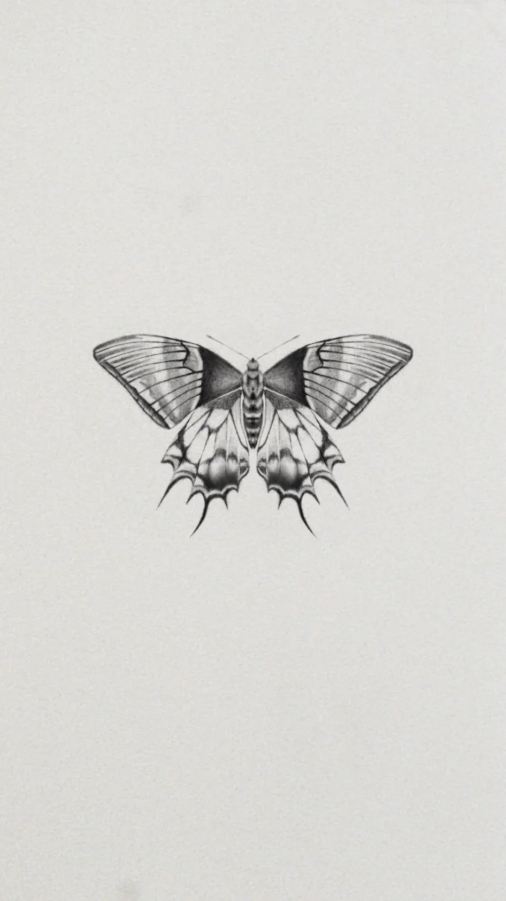 Untitled_Artwork+5+(3) (1).webp