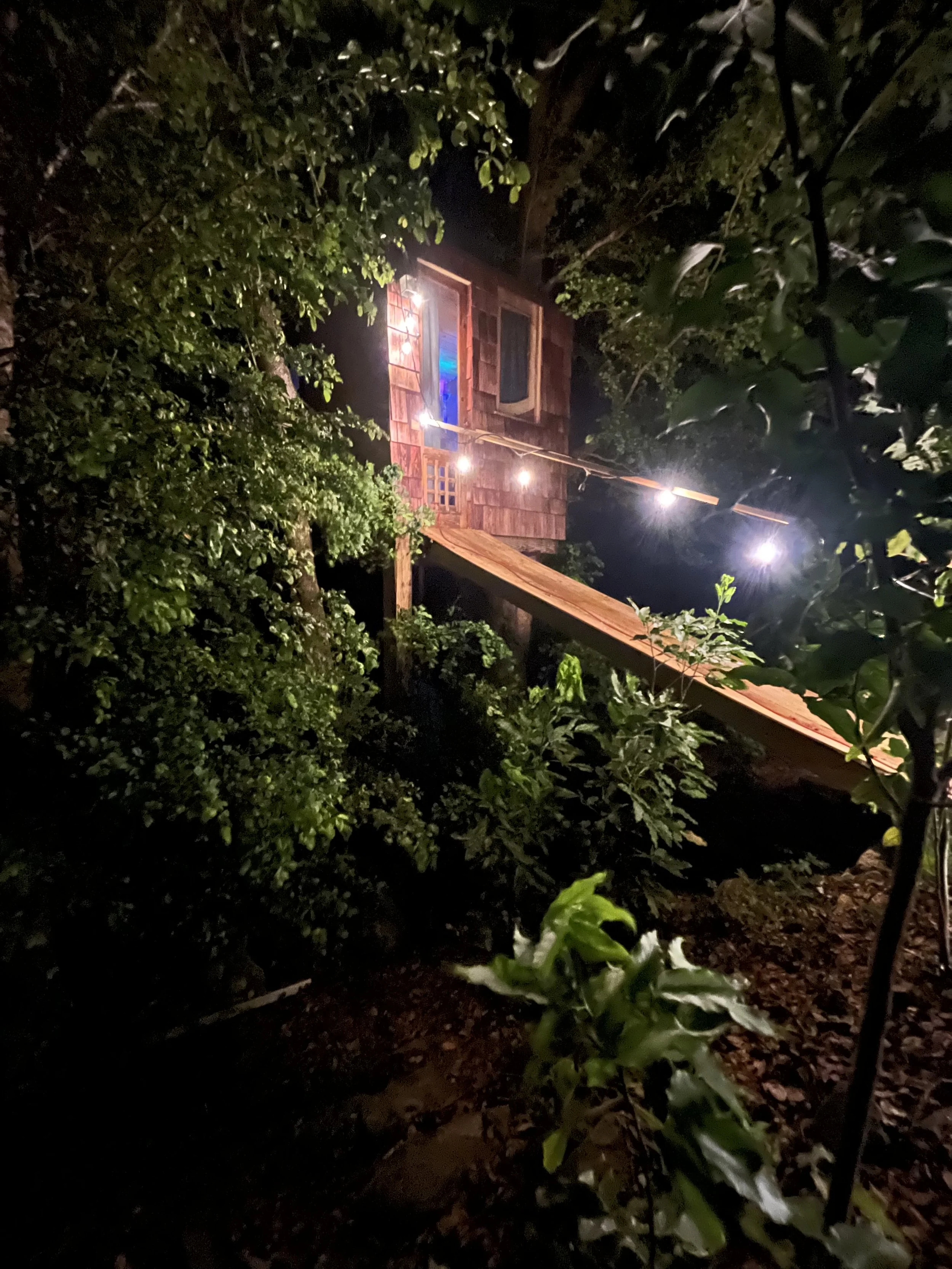 A treehouse built of wood, illuminated at night, with string lights hanging in the surrounding trees.
