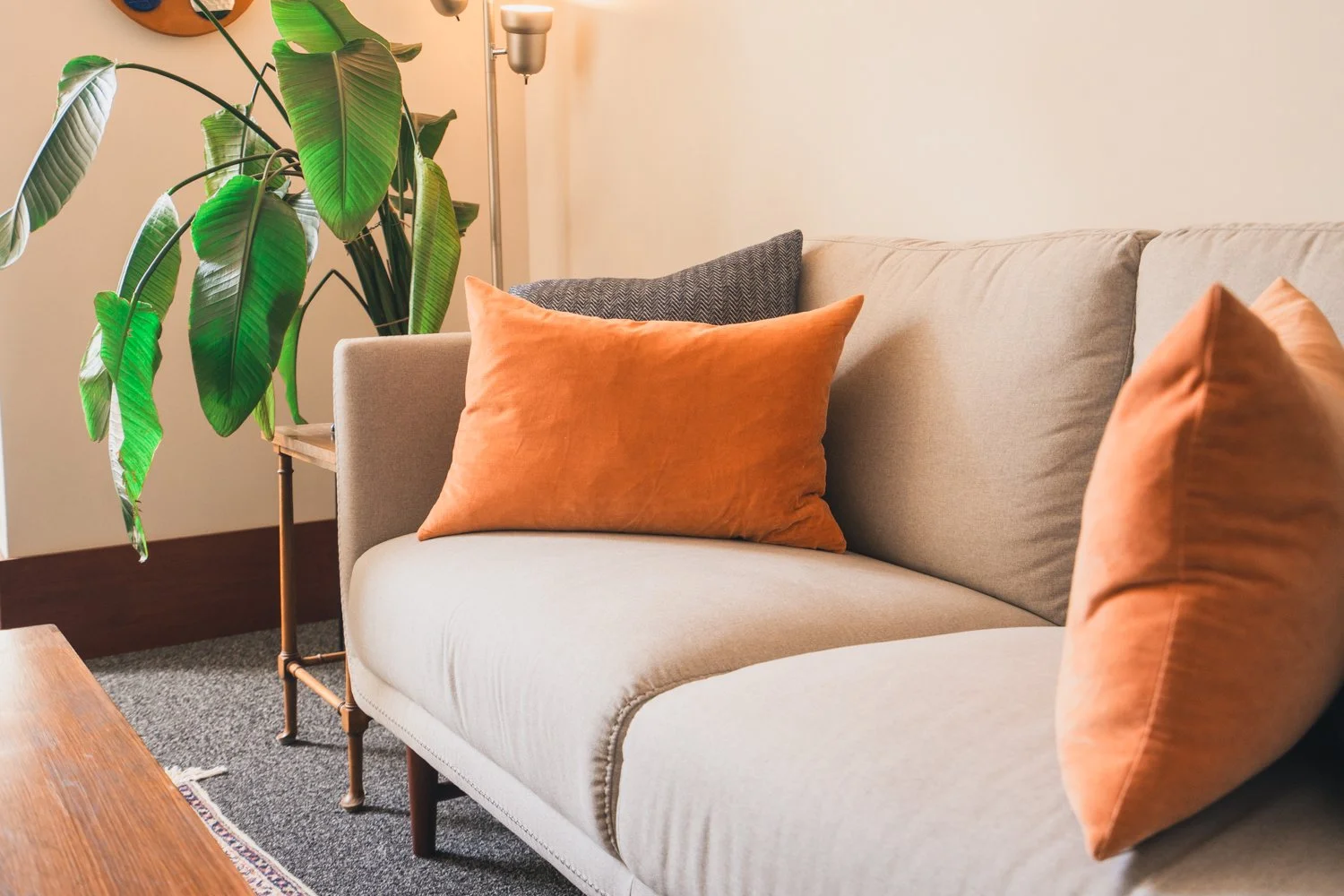 Couch and cushions