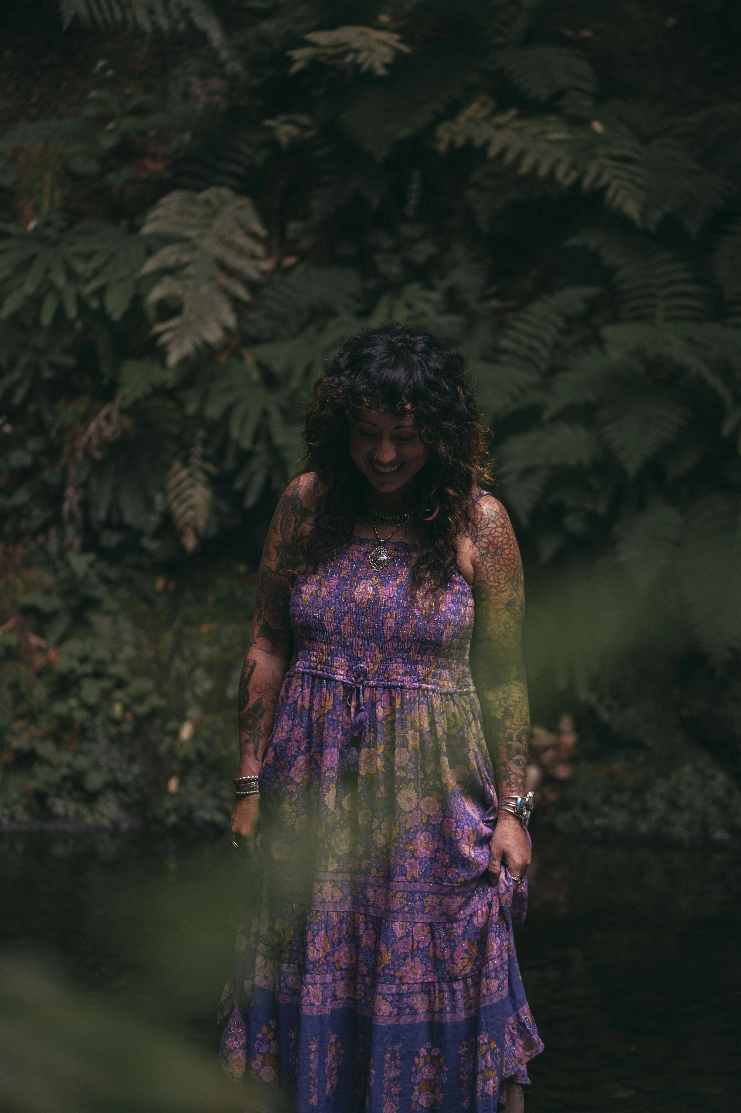 The Wisdom of Dreams