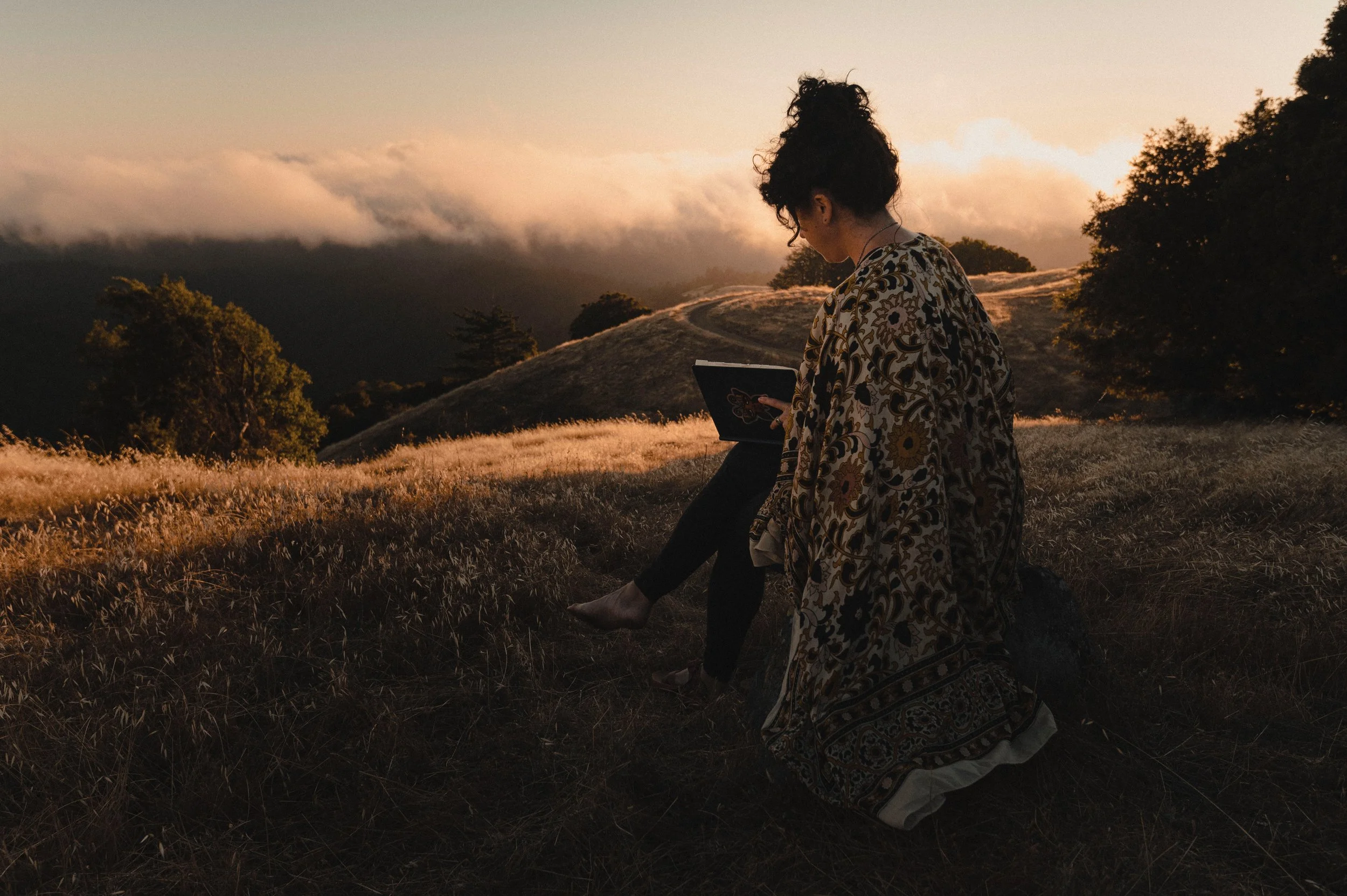 The Wild Dream Circle: A Group Dreamkeeping Immersion