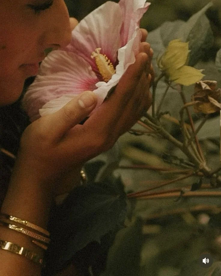 Virtual Community Guided Meditation to Check-in with Ourselves