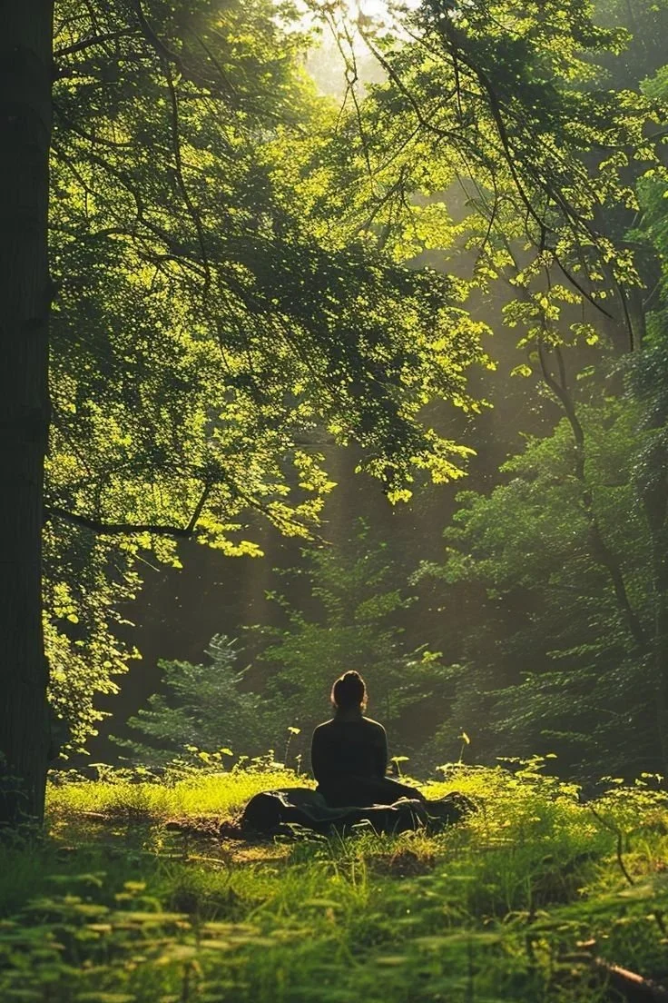 Nature Church: Mystical Mindfulness in The Land of the Medicine Buddha, Aptos