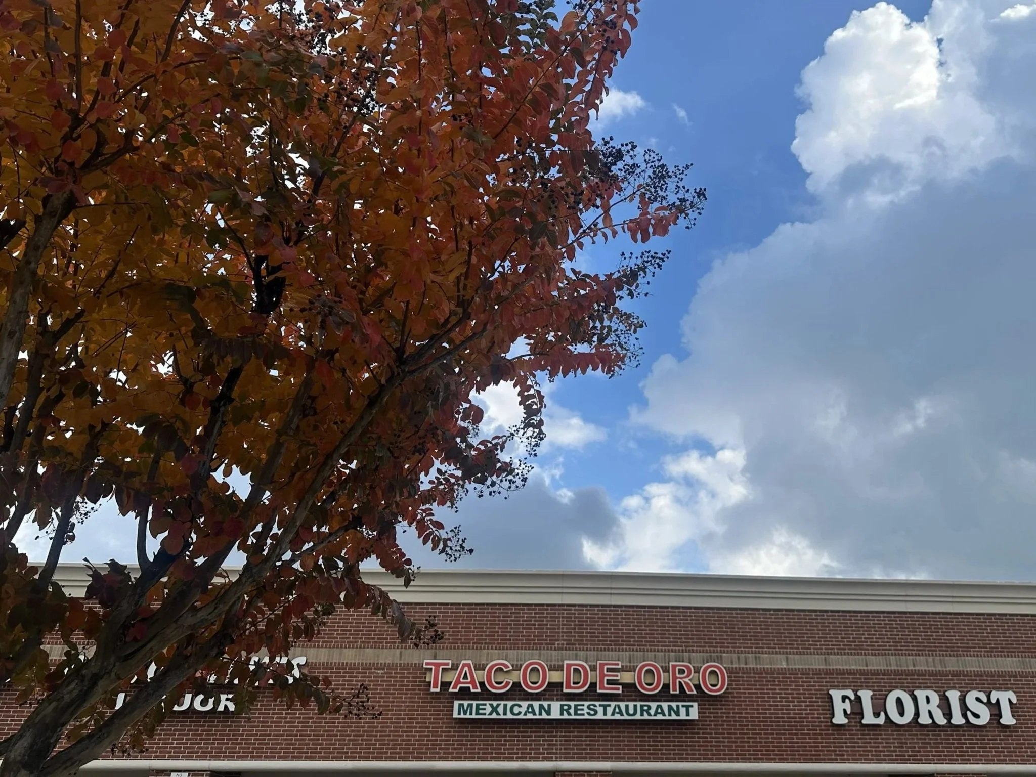 The front of a brick building with a sign for Taco De Oro Mexican Restaurant and a florist. There is a tree with reddish leaves in the foreground and partly cloudy blue sky above.