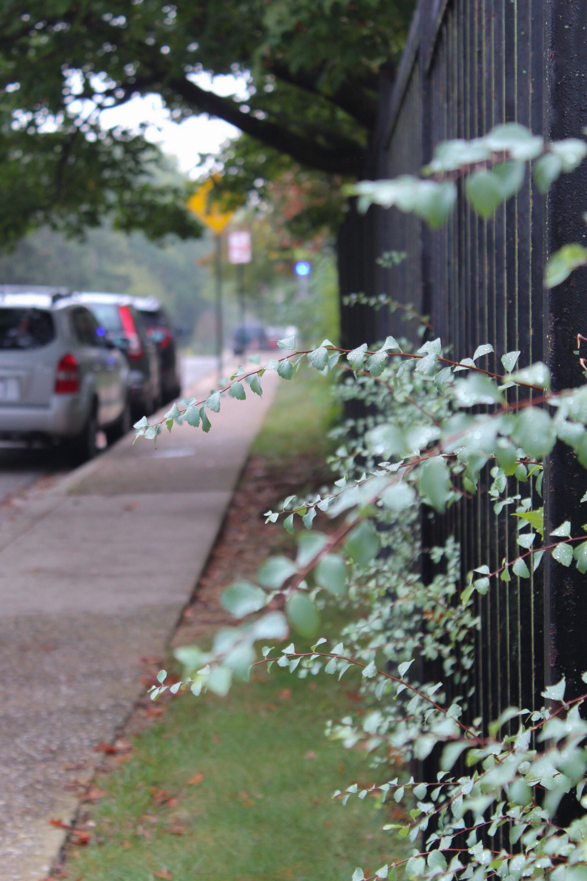 "Inbetween" taken in '25.