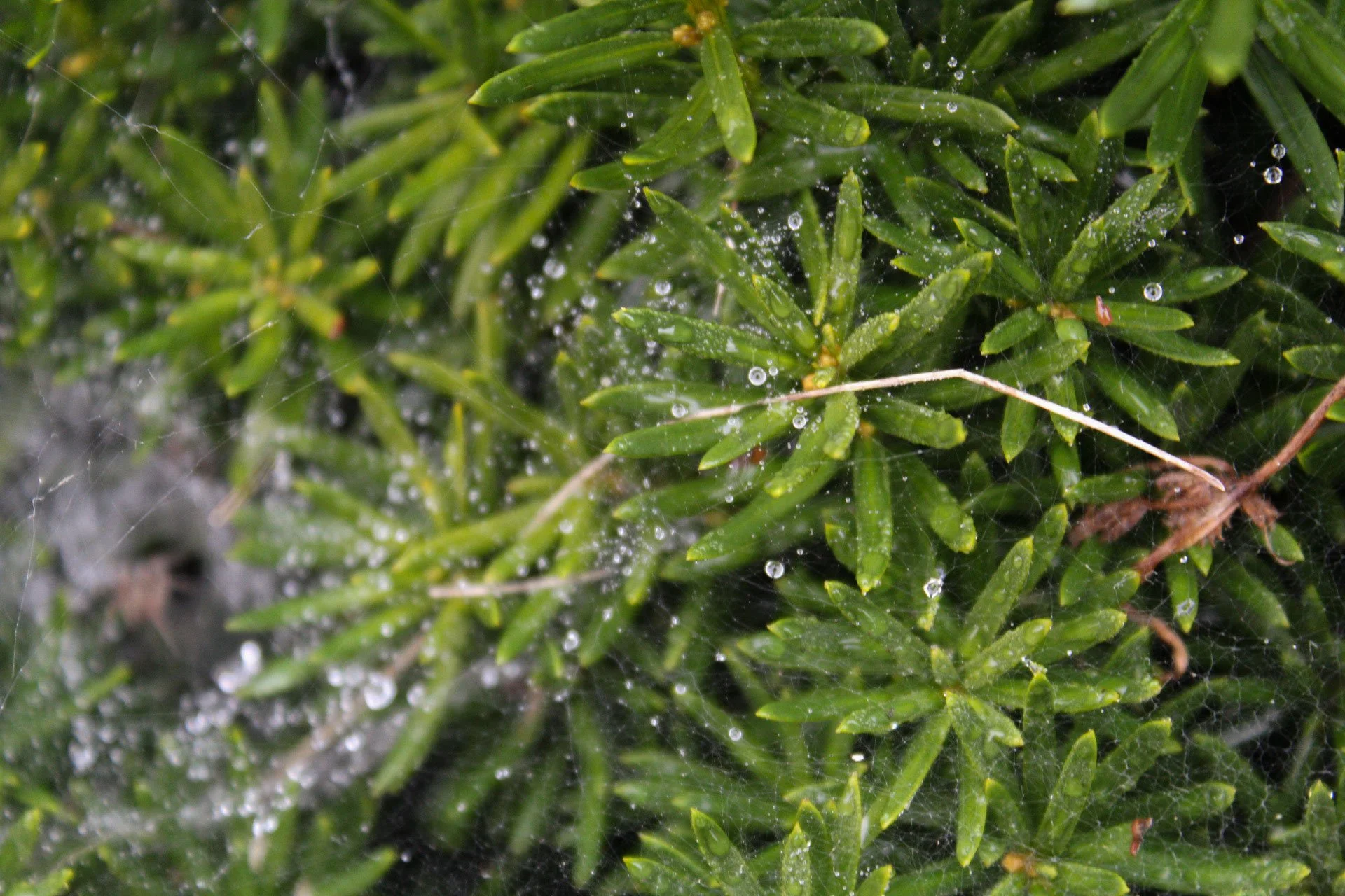 "Revealed" taken in '25.