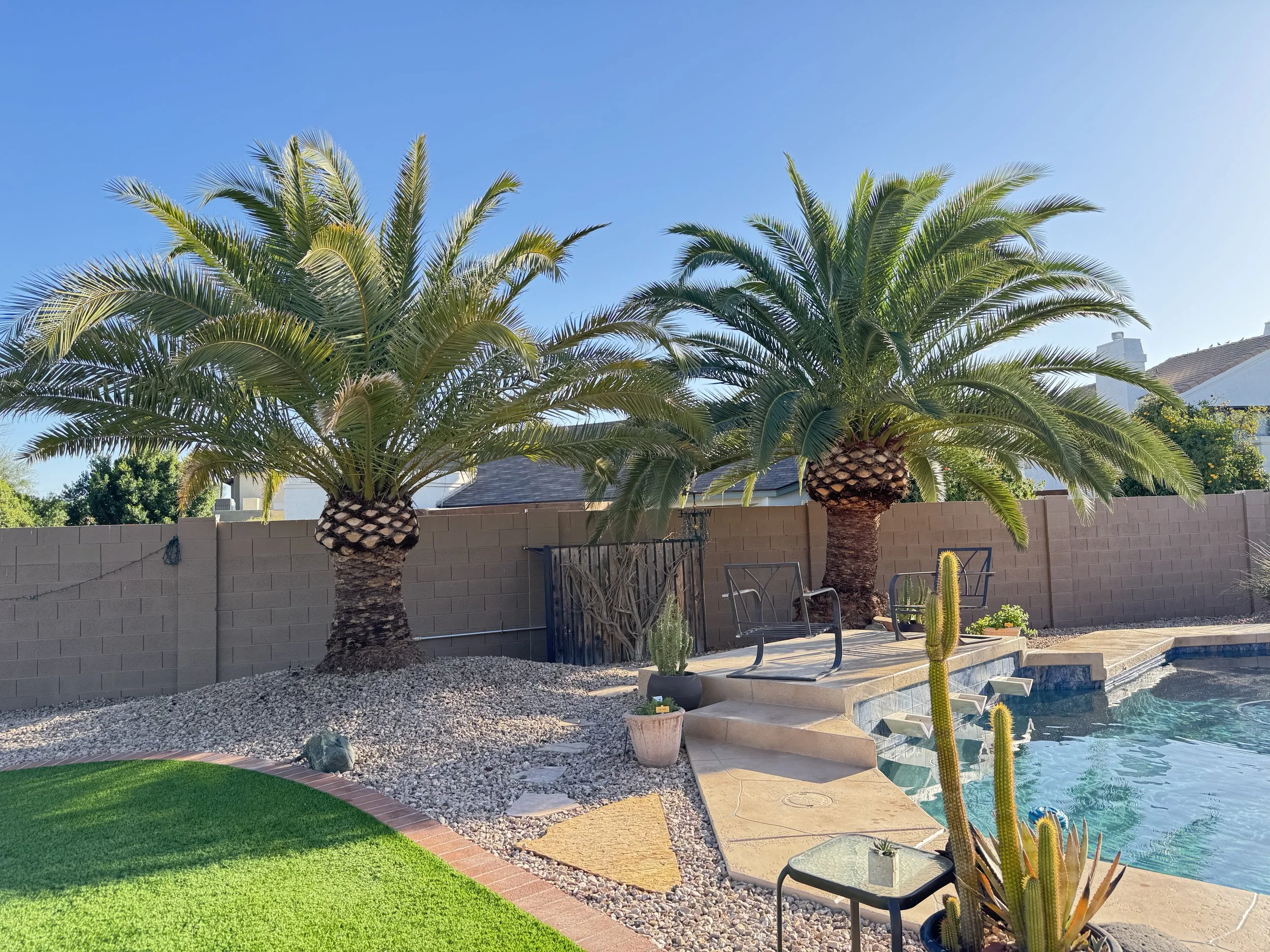 Proyecto anterior de Oranssi