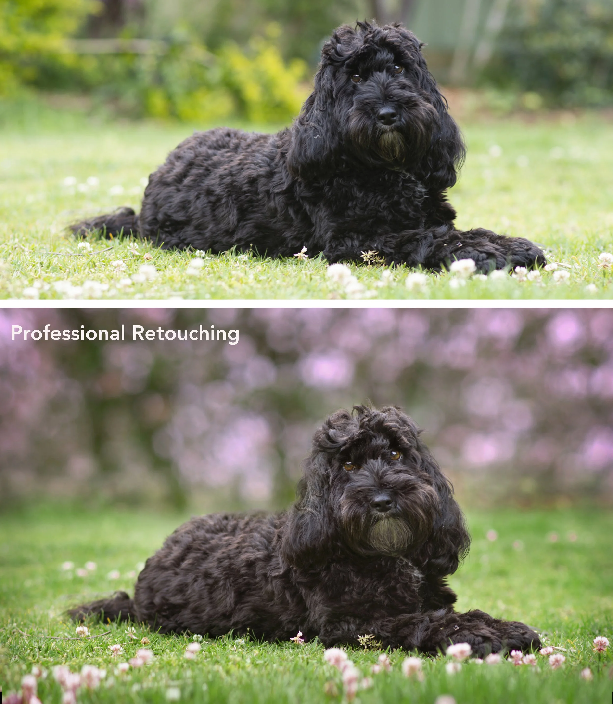 portrait retouched for natural finish