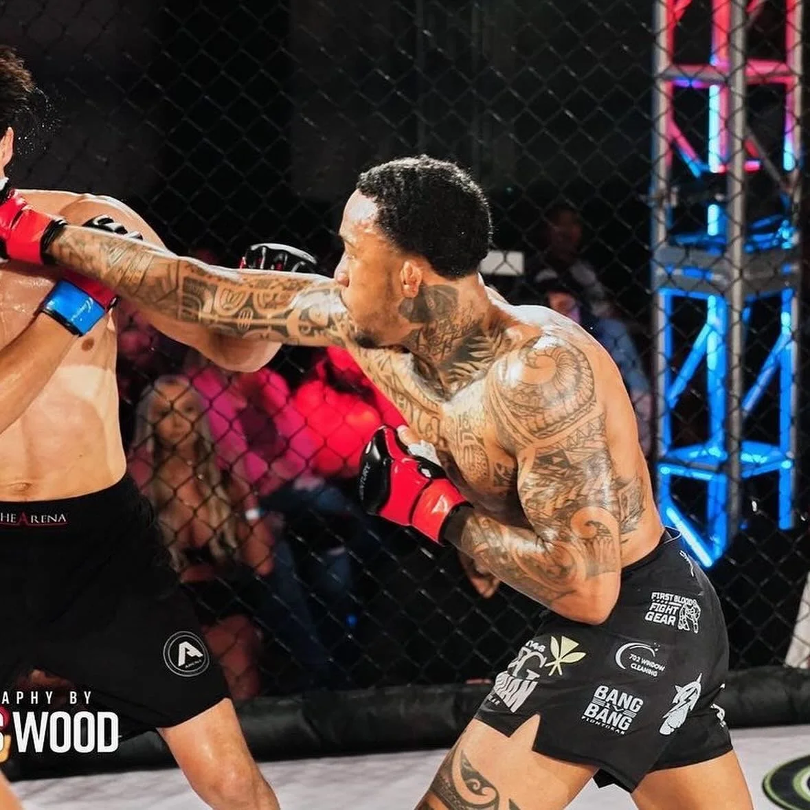 Mixed martial arts fighters in a cage match, with one fighter delivering a punch to the other.