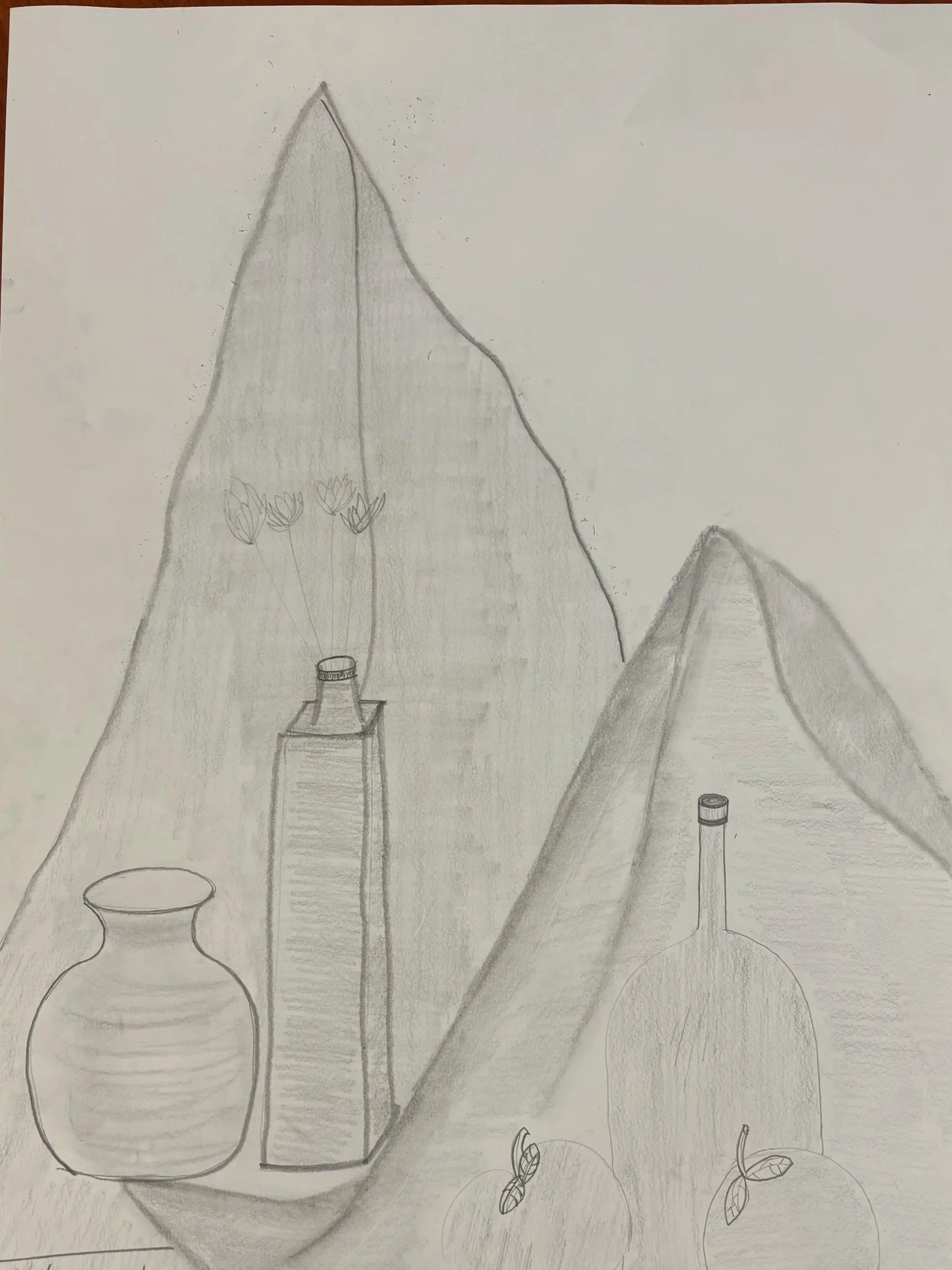 Still life drawing 
Fall '24