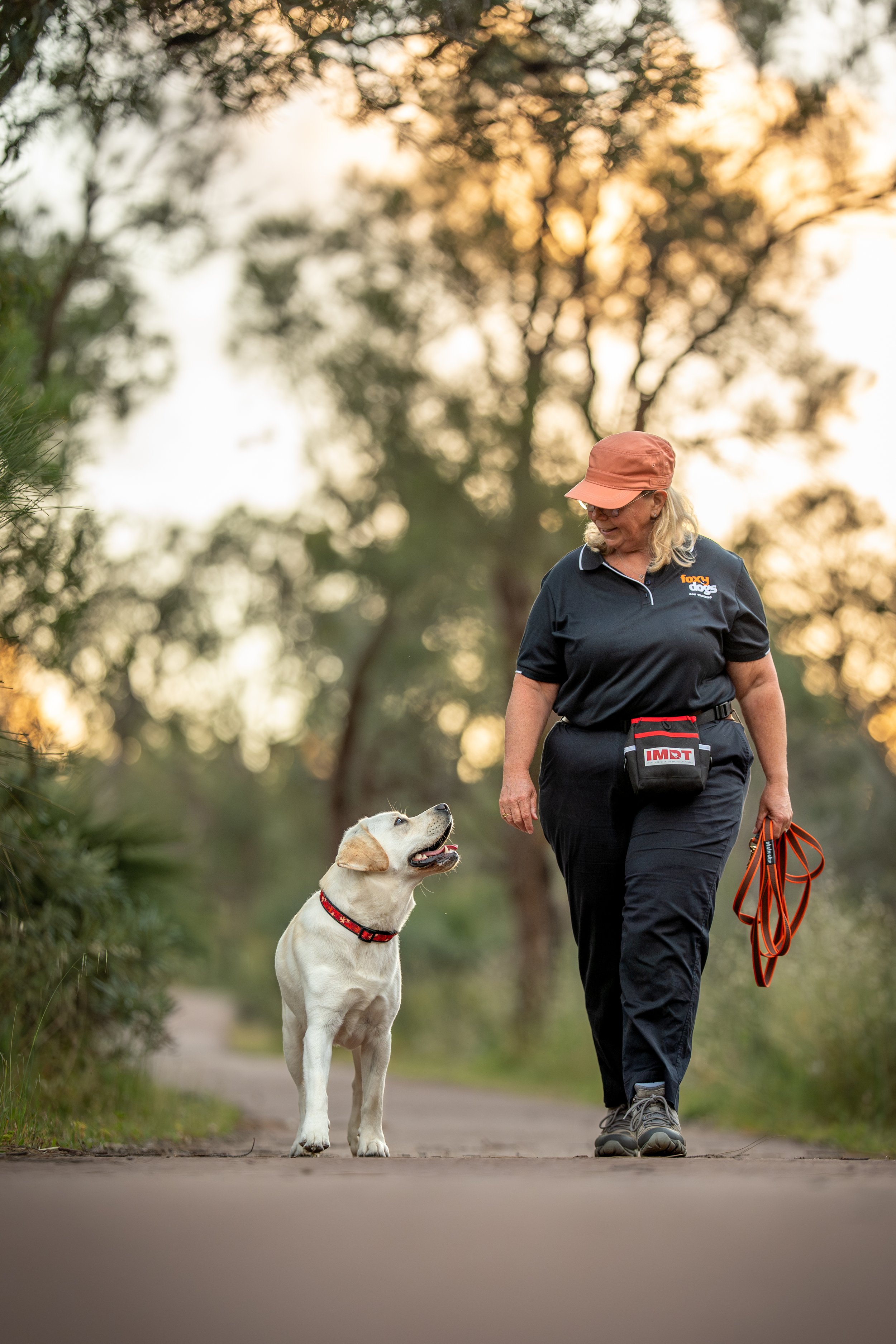 A woman walking a yellow Labrador retriever on a trail during sunset. The woman is wearing a navy shirt, black pants, a reddish-orange cap, and carrying a leash and a pouch, while the dog appears happy and attentive.