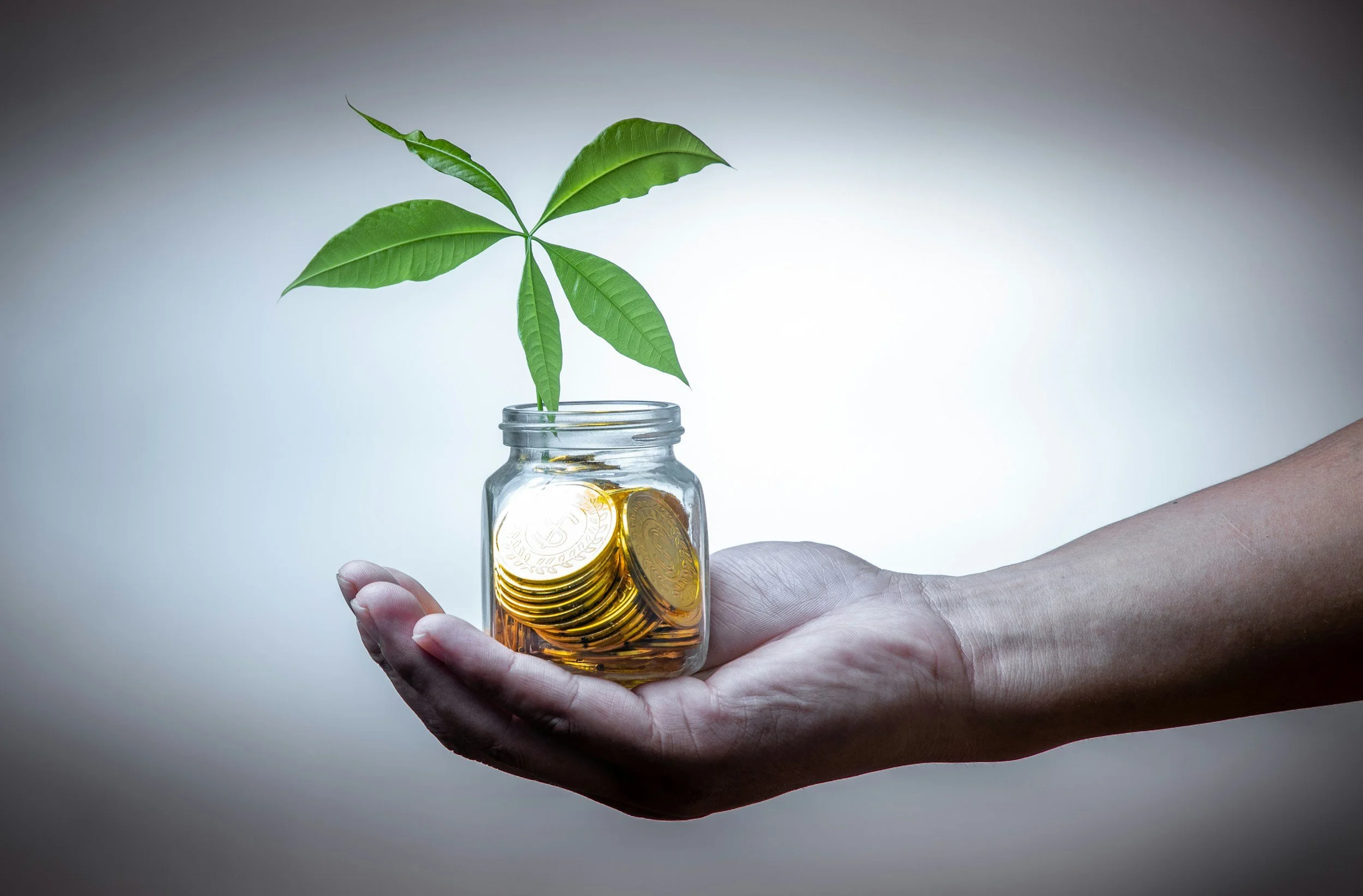 Top Financial Advisor in Wisconsin