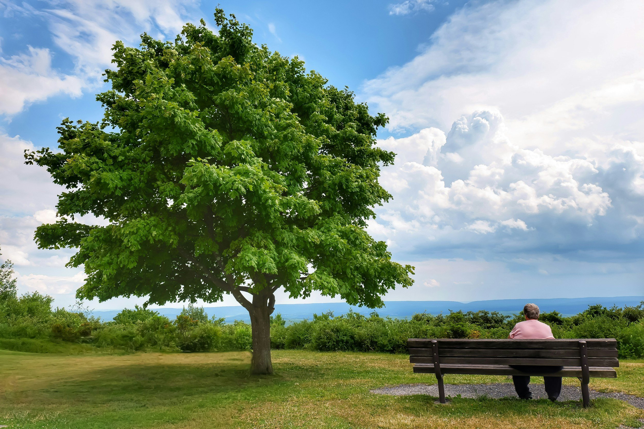 Retirement Planning Workbook: What To Include And How To Use It