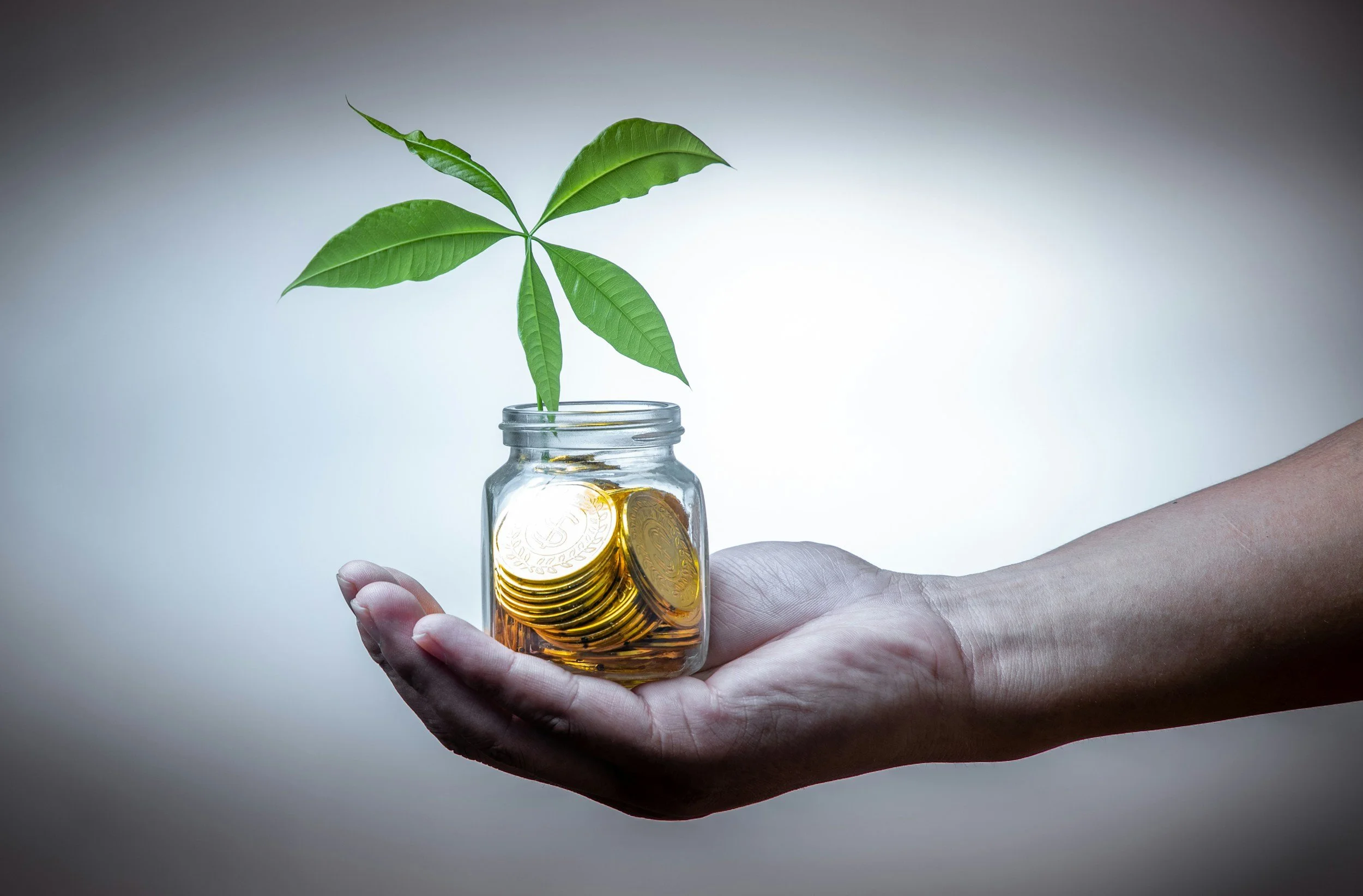 Self-Managing Investments: What It Means and How to Do It Thoughtfully