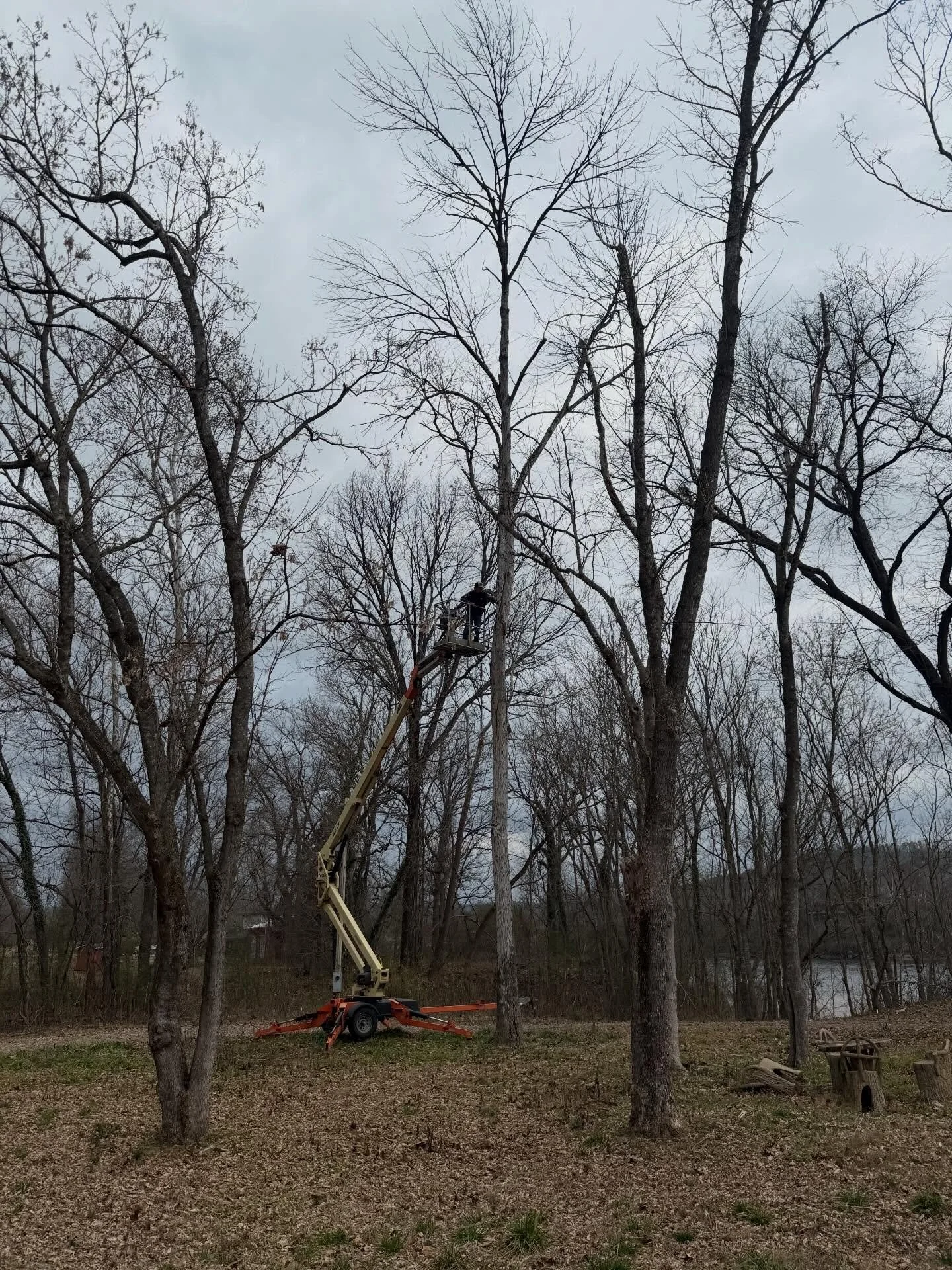 Riverfront Property Maintenance by Ozark Excavation 🌊🌲
Maintaining river frontage takes experience and the right equipment. Our crew is clearing heavy underbrush, removing dead and hazardous trees, and safely burning all wood onsite as we work.

Th