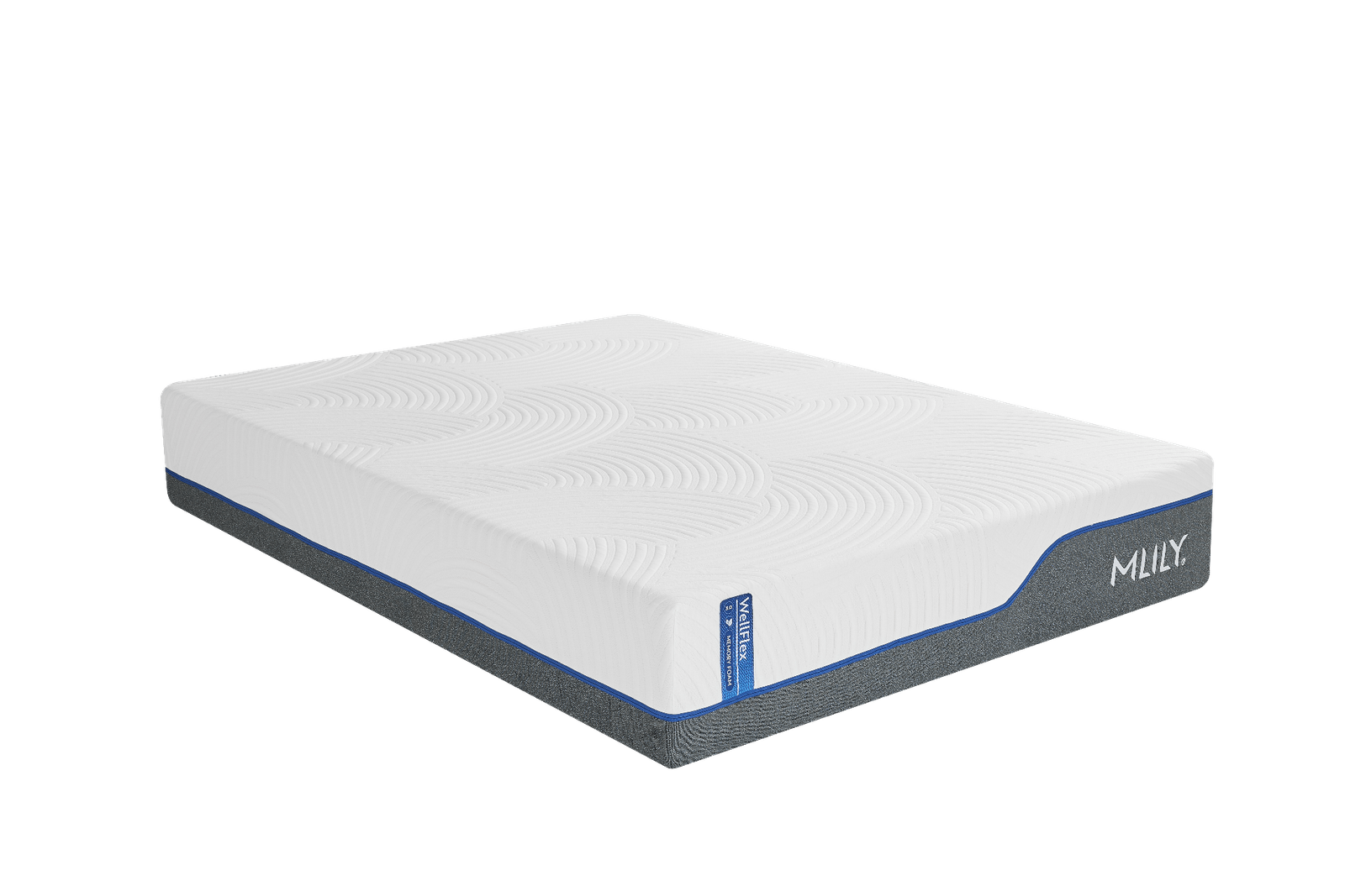 wflex 1 6.png