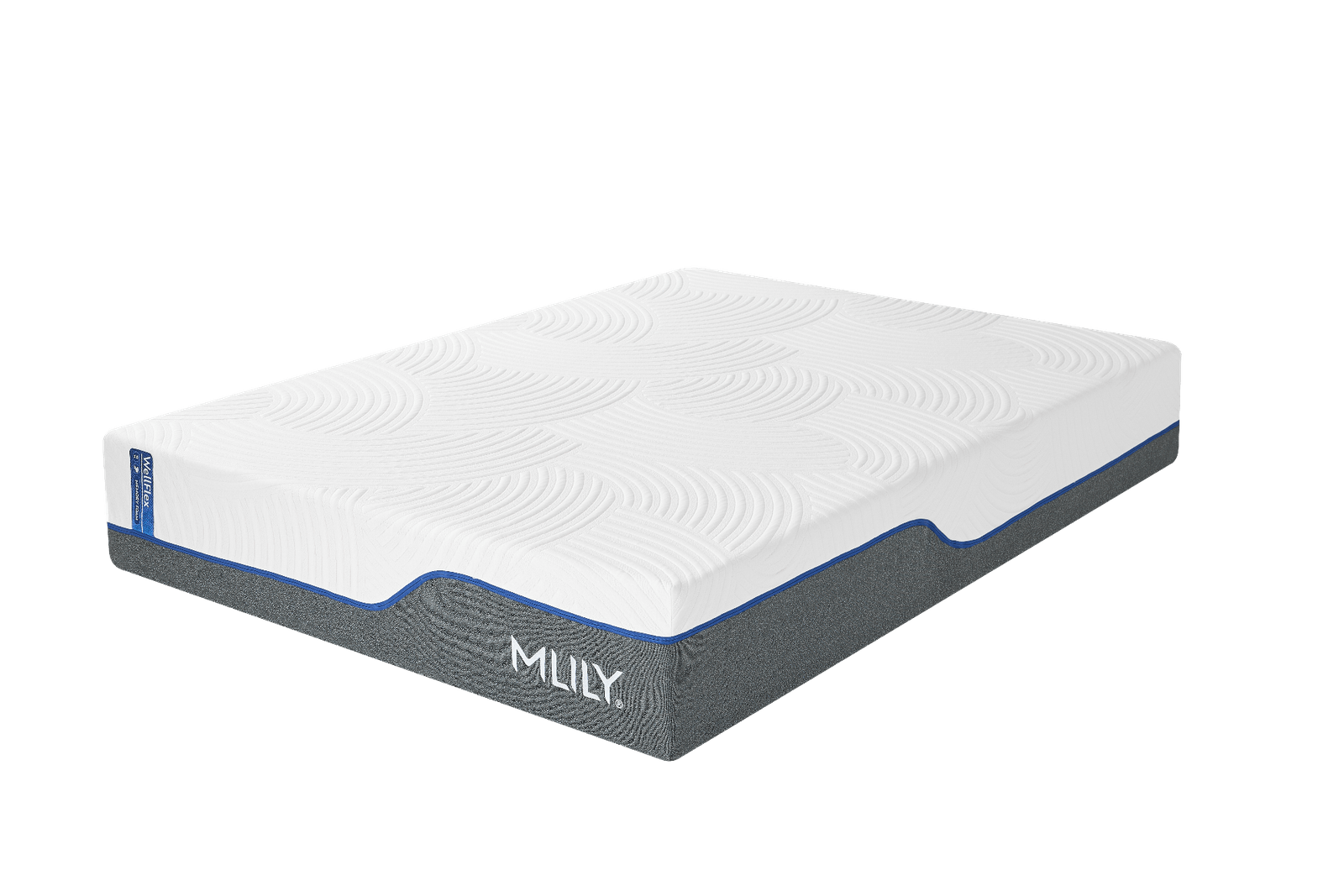wflex 3 2.png