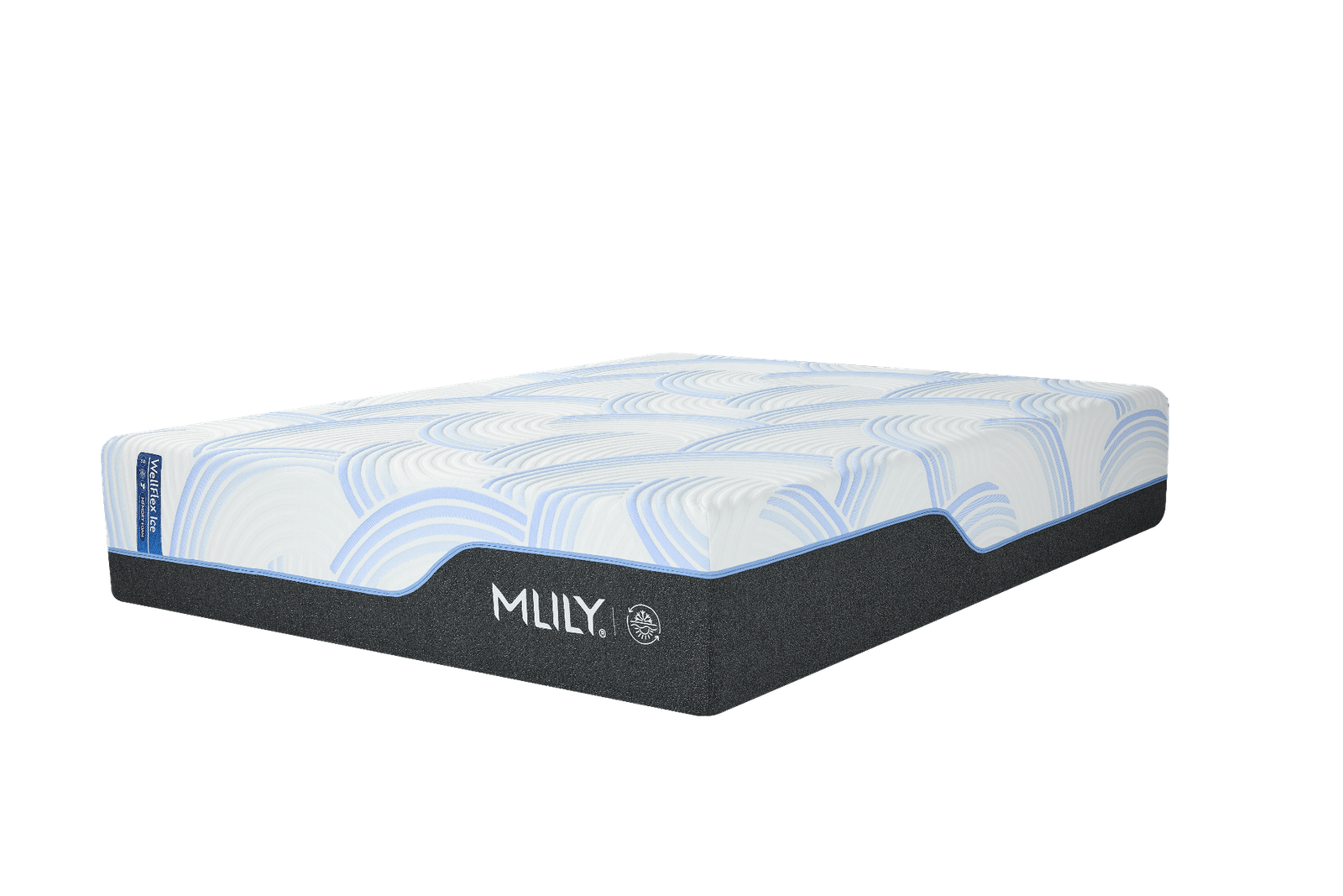 wflex ice 3 3.png