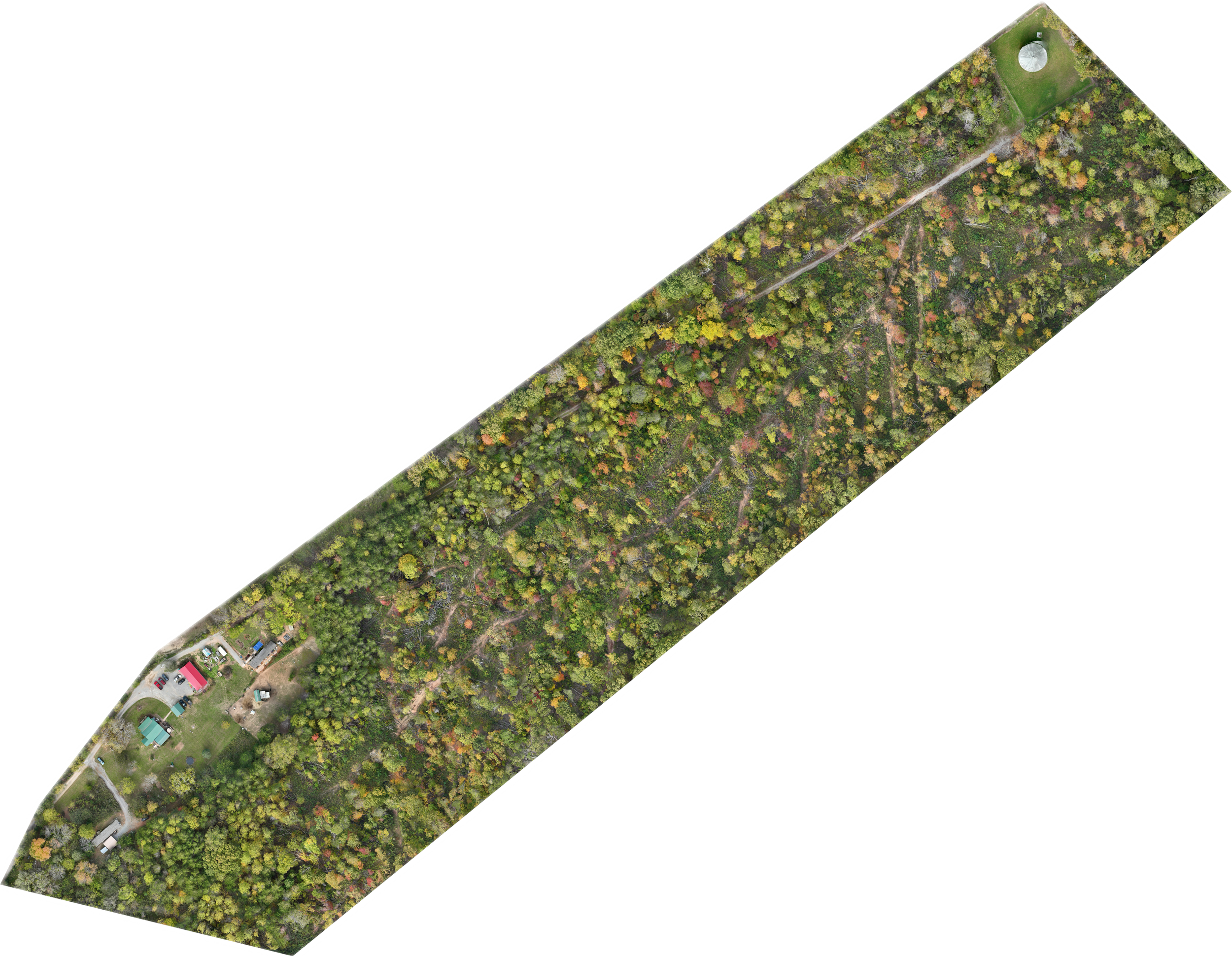 IMG_0112 Background Removed.png