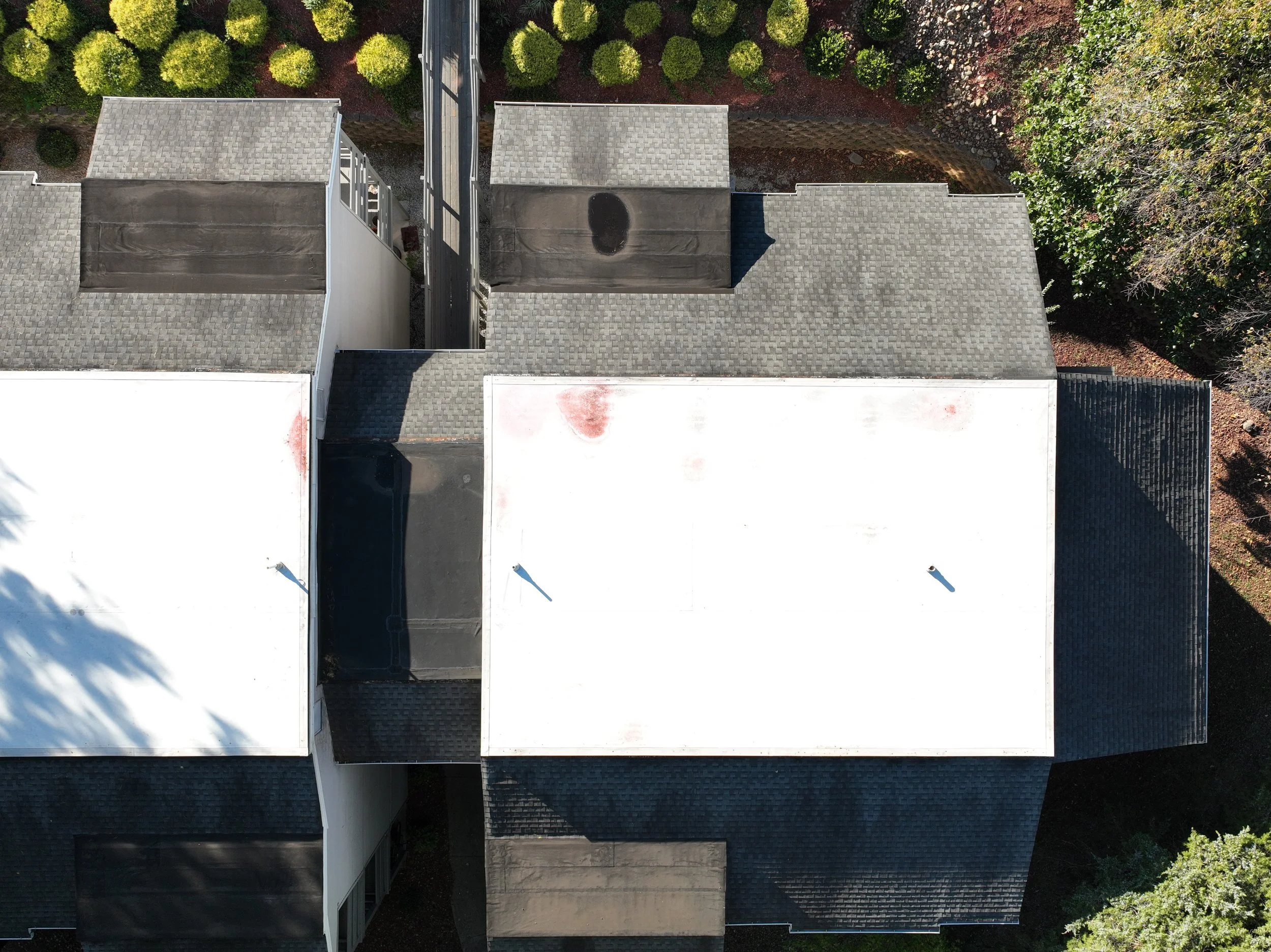 org_4b79d0b14822aaa7_1761167440000 2.JPG