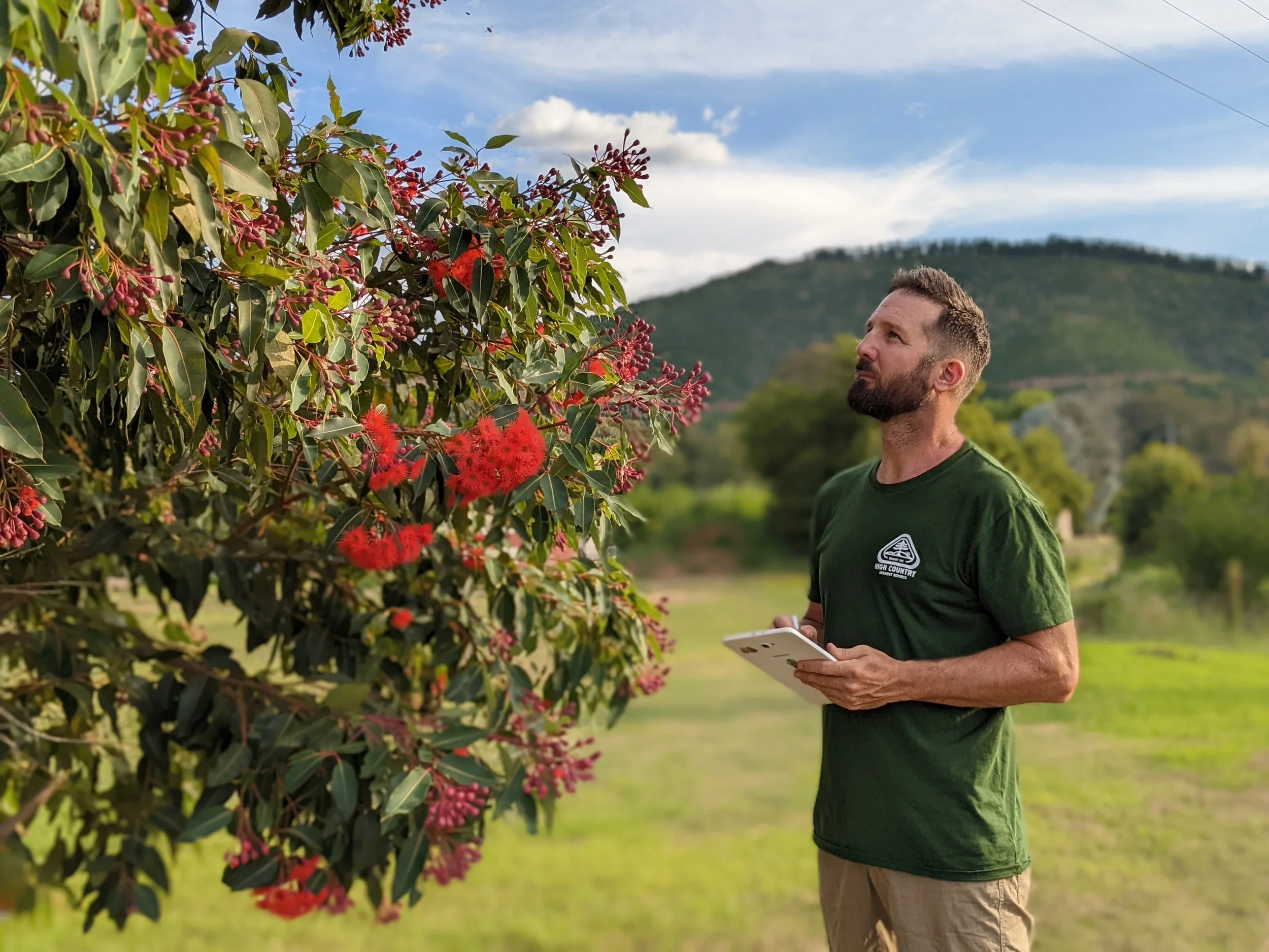 A man with a beard, wearing a green t-shirt and khaki shorts, stands outdoors holding a tablet, looking at a large bush with red flowers and pink buds. In the background, there are green trees and mountains under a partly cloudy sky.