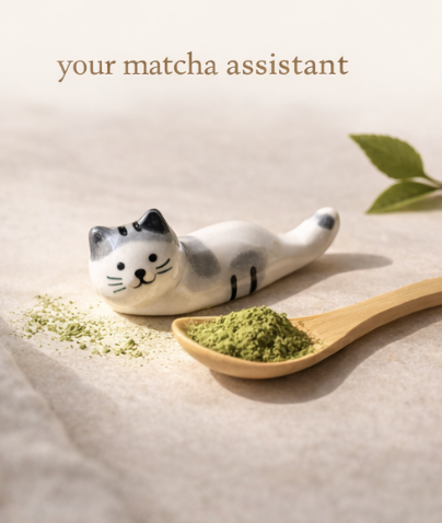 Screenshot 2026-03-06 at 11.49.07.png