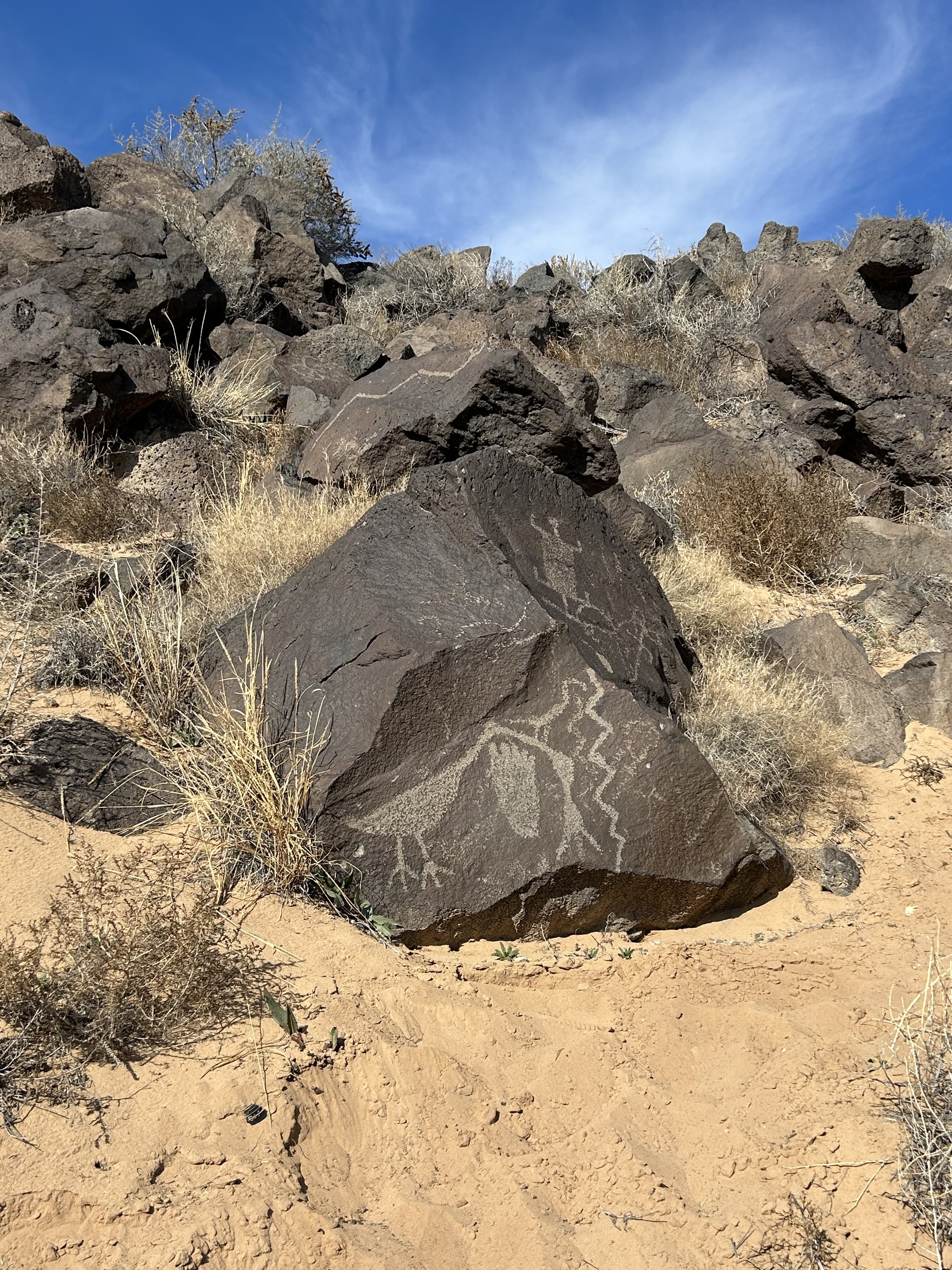 albuquerque jan 2026