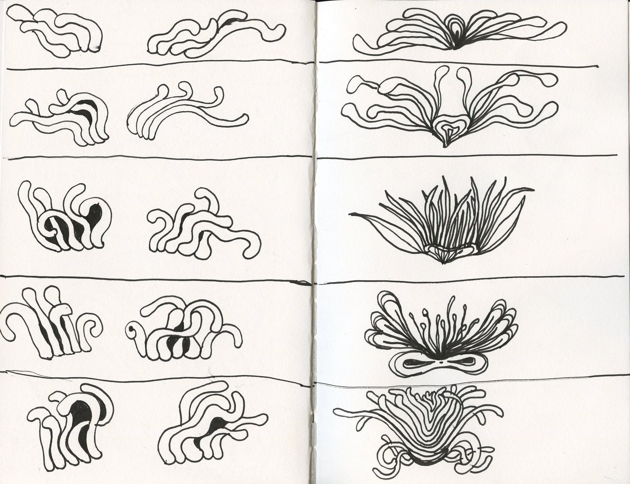 from series of 100 drawings 1/16/26-1/23/26