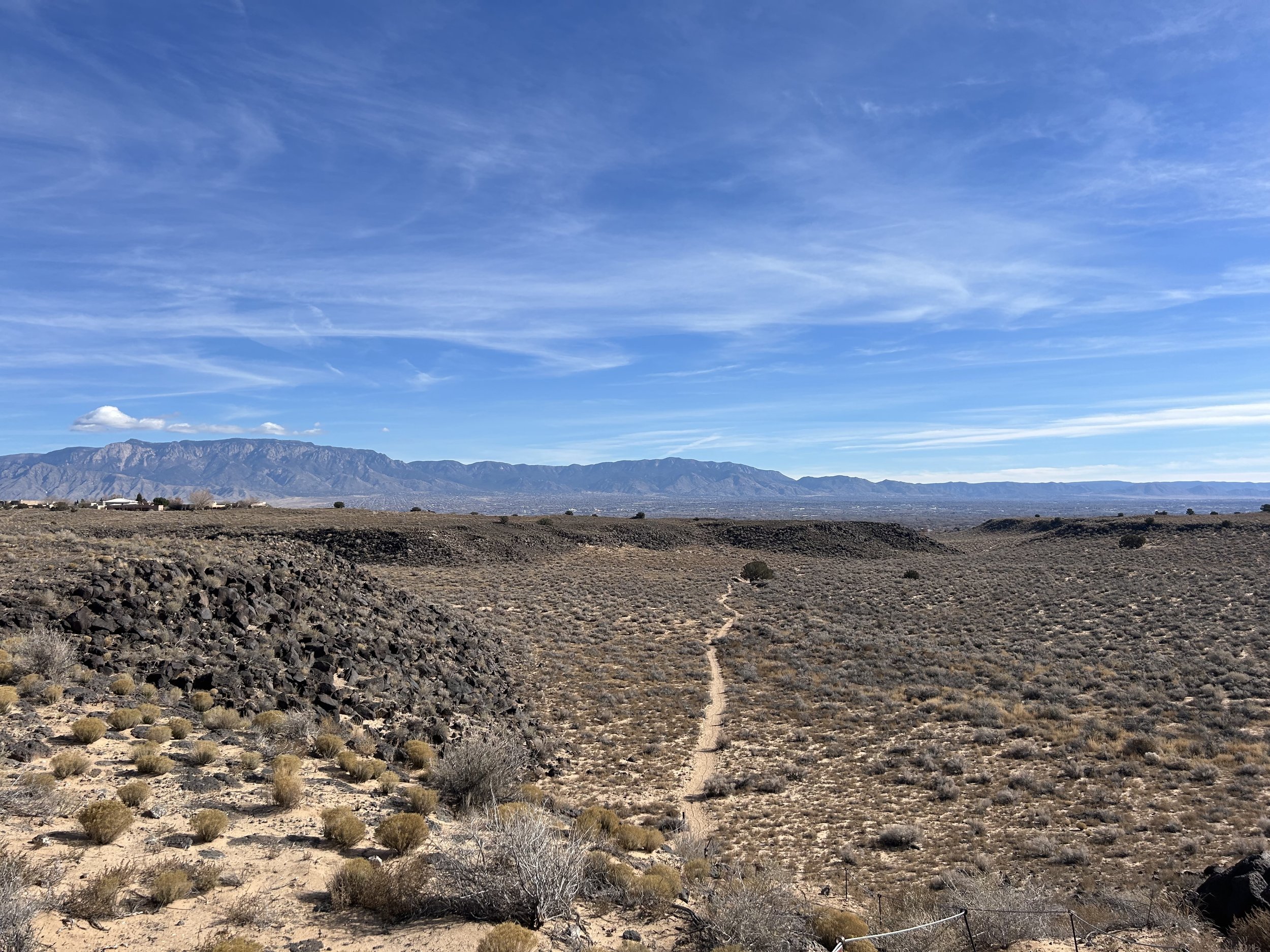 albuquerque jan 2026