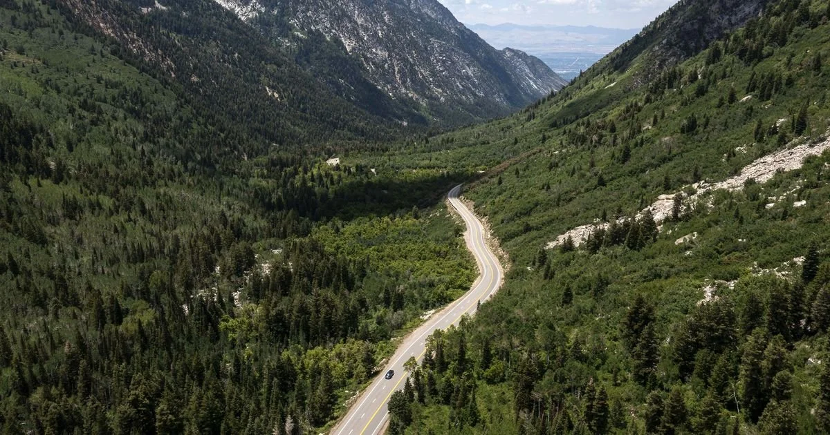 The Cottonwood Debate, Post 3/3 — The BUS MUST WIN