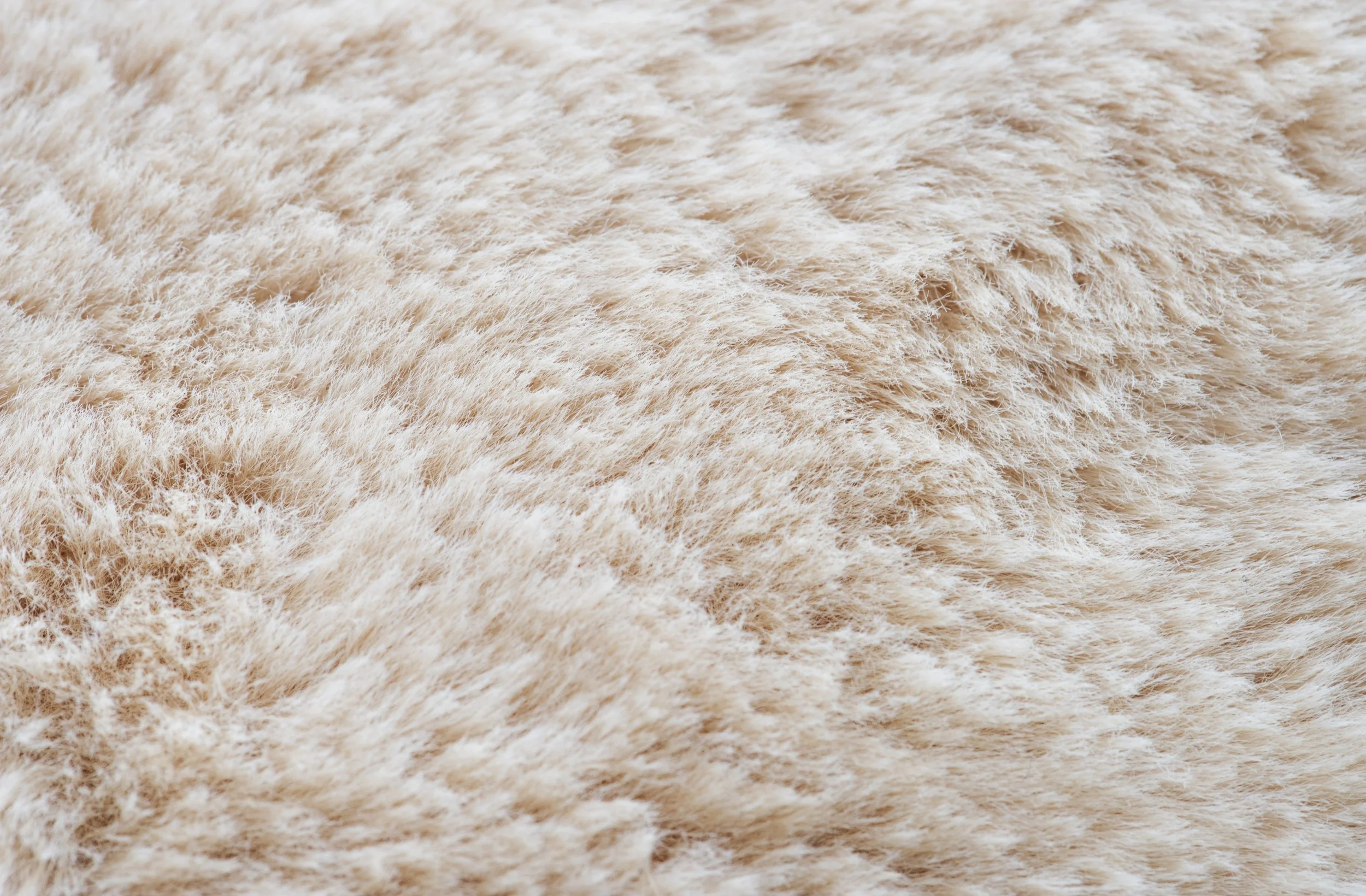 Close-up of beige, fluffy fur.