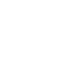 White icon of a bar chart with a magnifying glass.